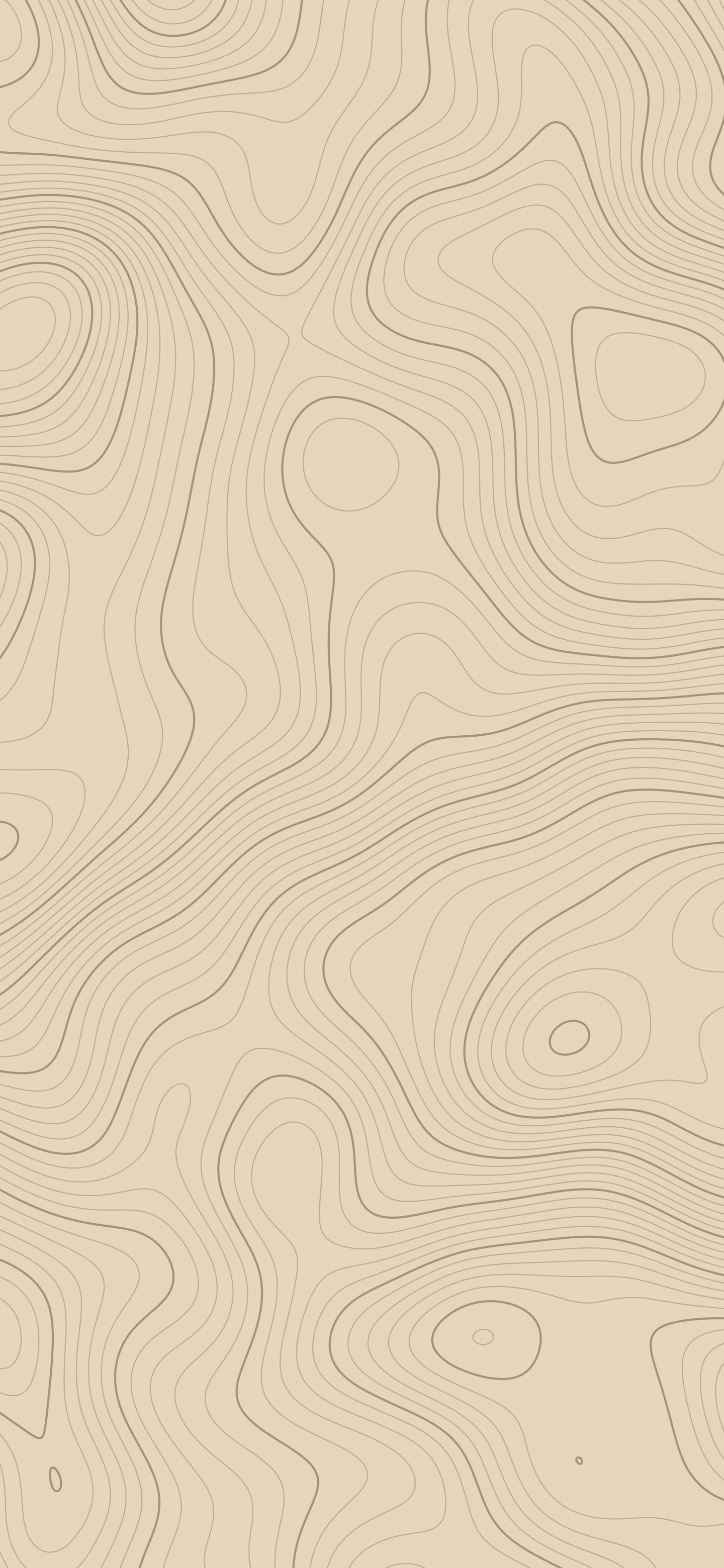 Beige and Brown Topographic Line wallpaper for iPhone and Android