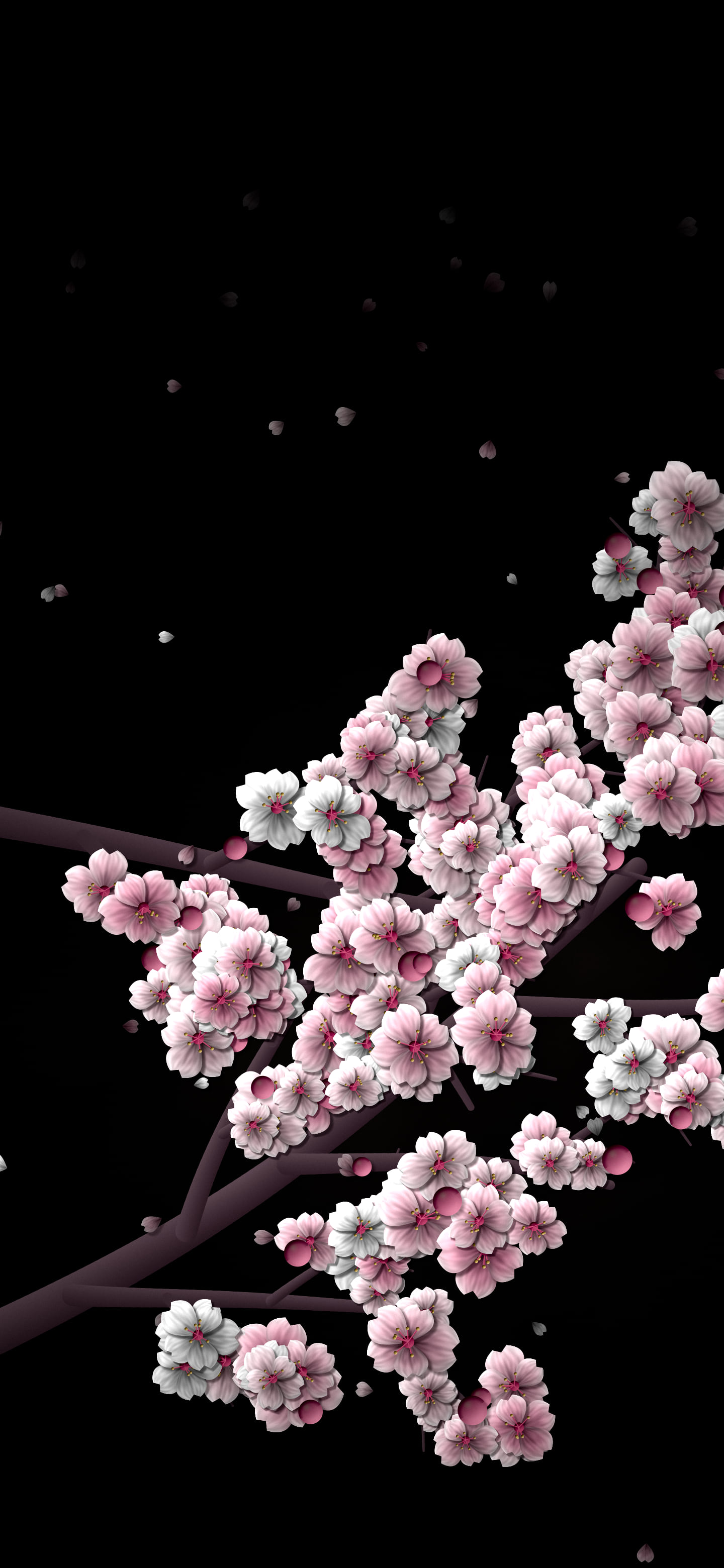 Black Blossom Branch Pattern wallpaper for iPhone and Android