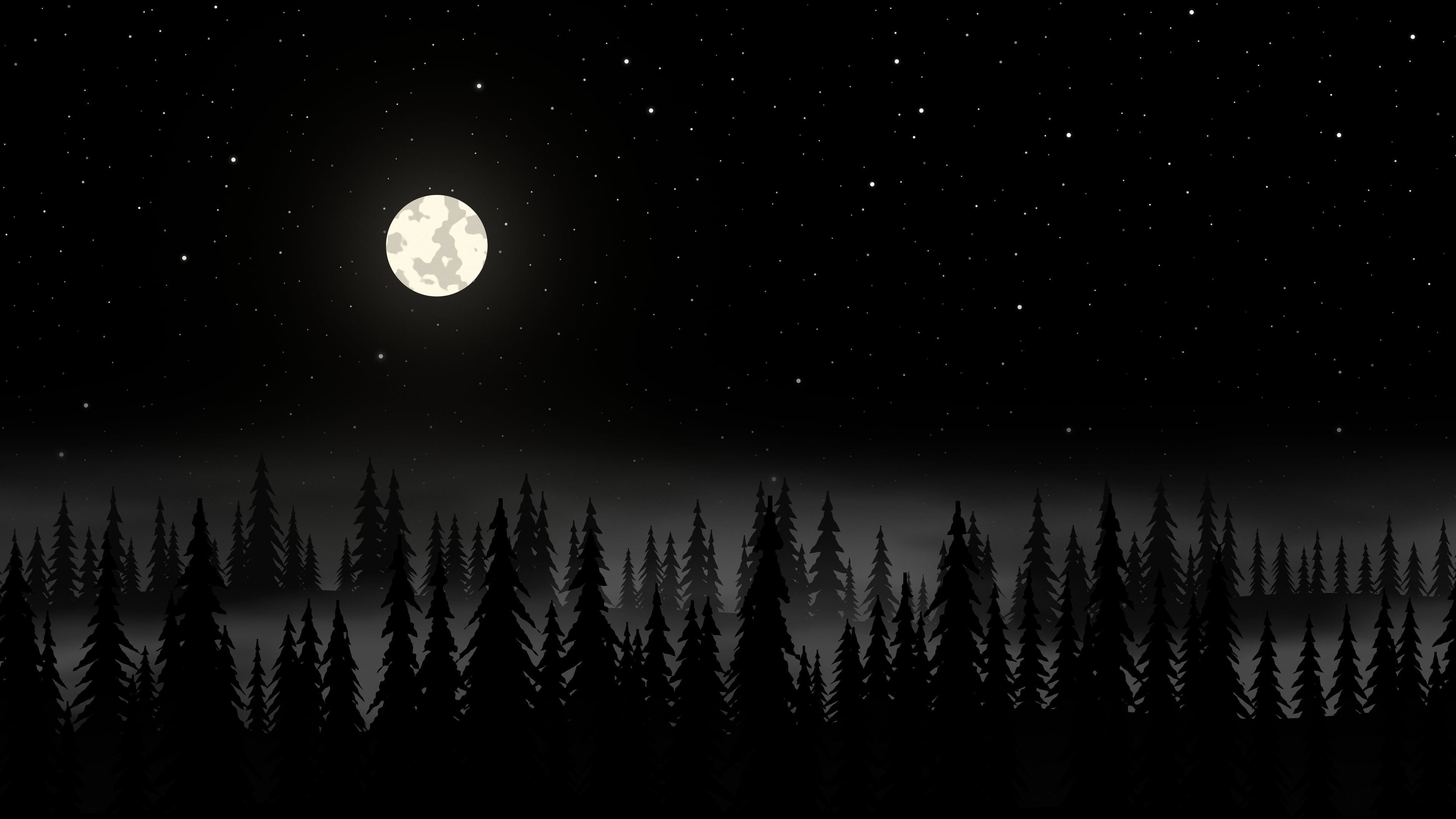 Black Forest at Night desktop wallpaper in 4K