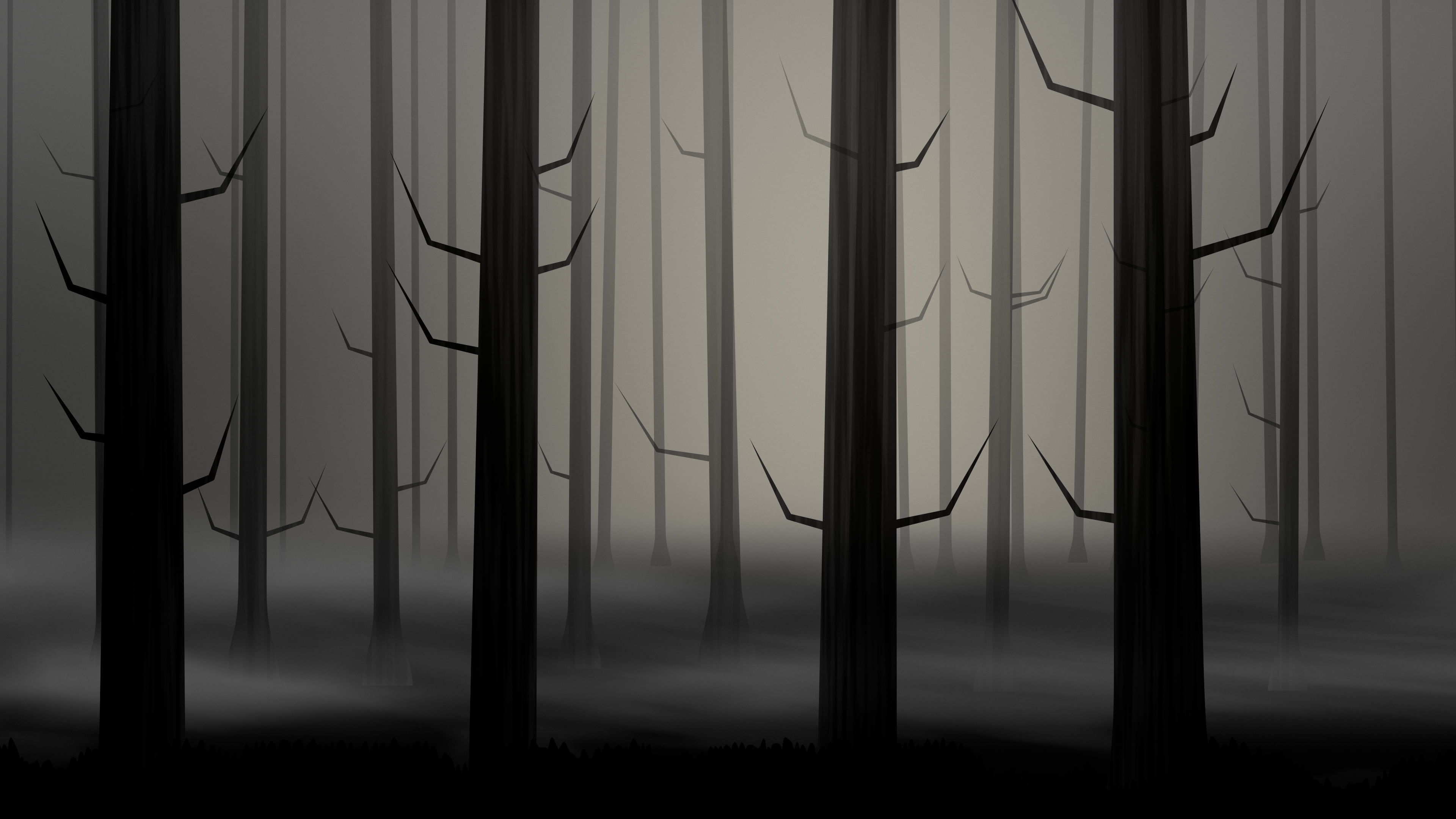 Black Forest Trees desktop wallpaper in 4K
