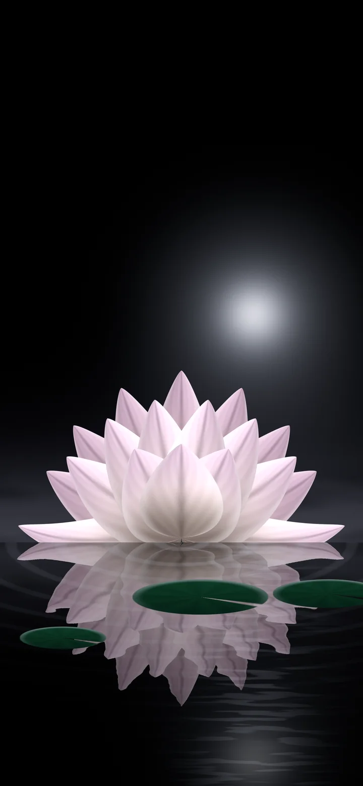 Black Lotus Flower wallpaper for iPhone and Android