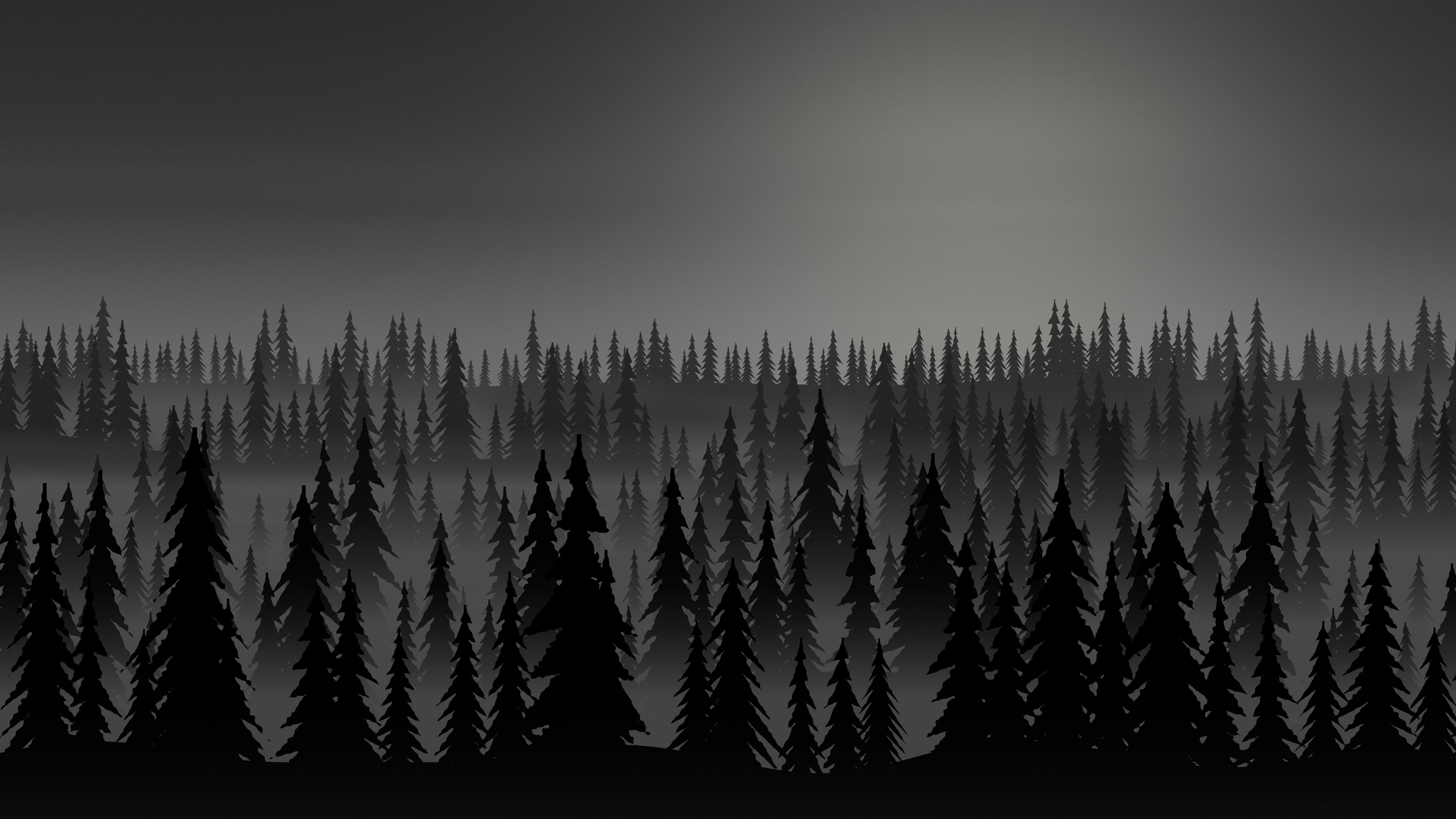 Black Misty Pine Forest desktop wallpaper in 4K