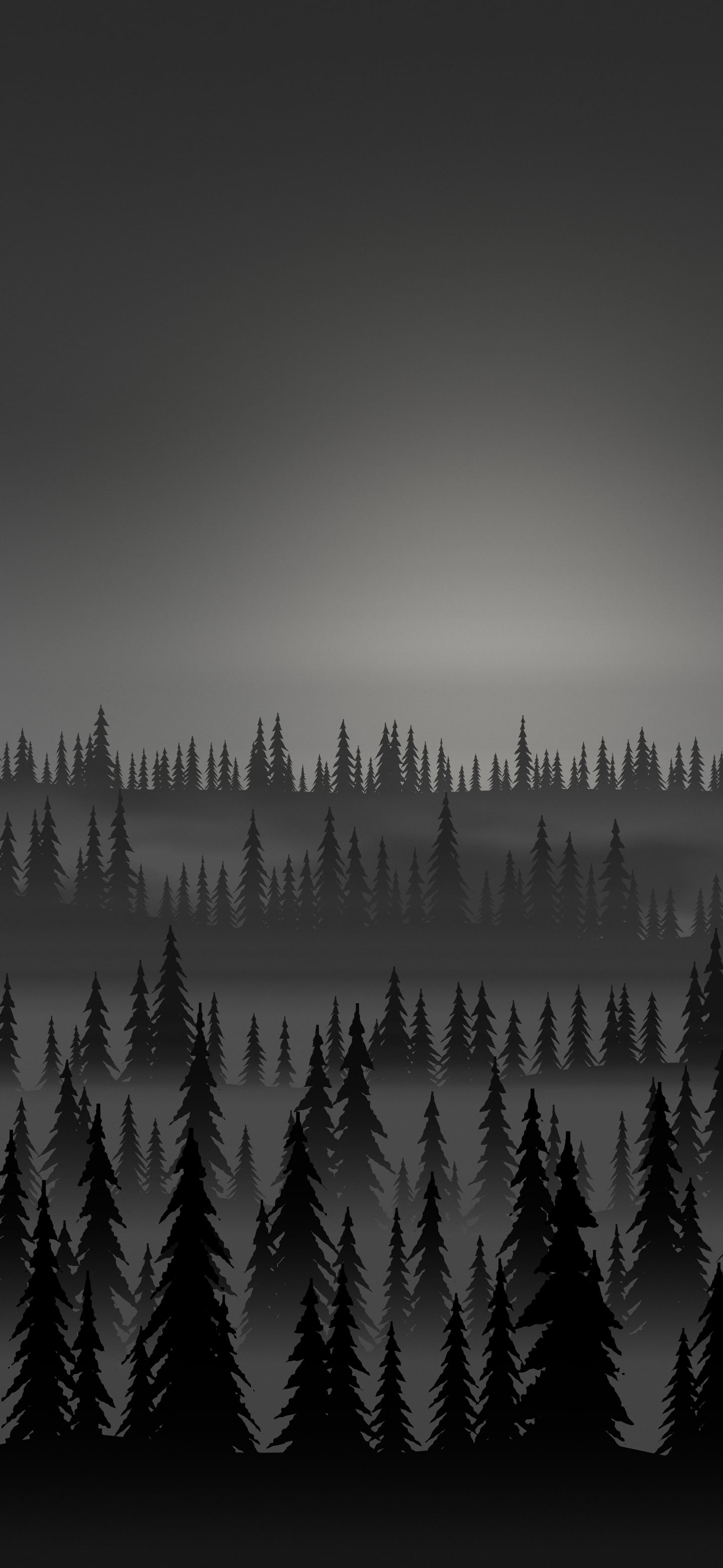 Black Misty Pine Forest wallpaper for iPhone and Android