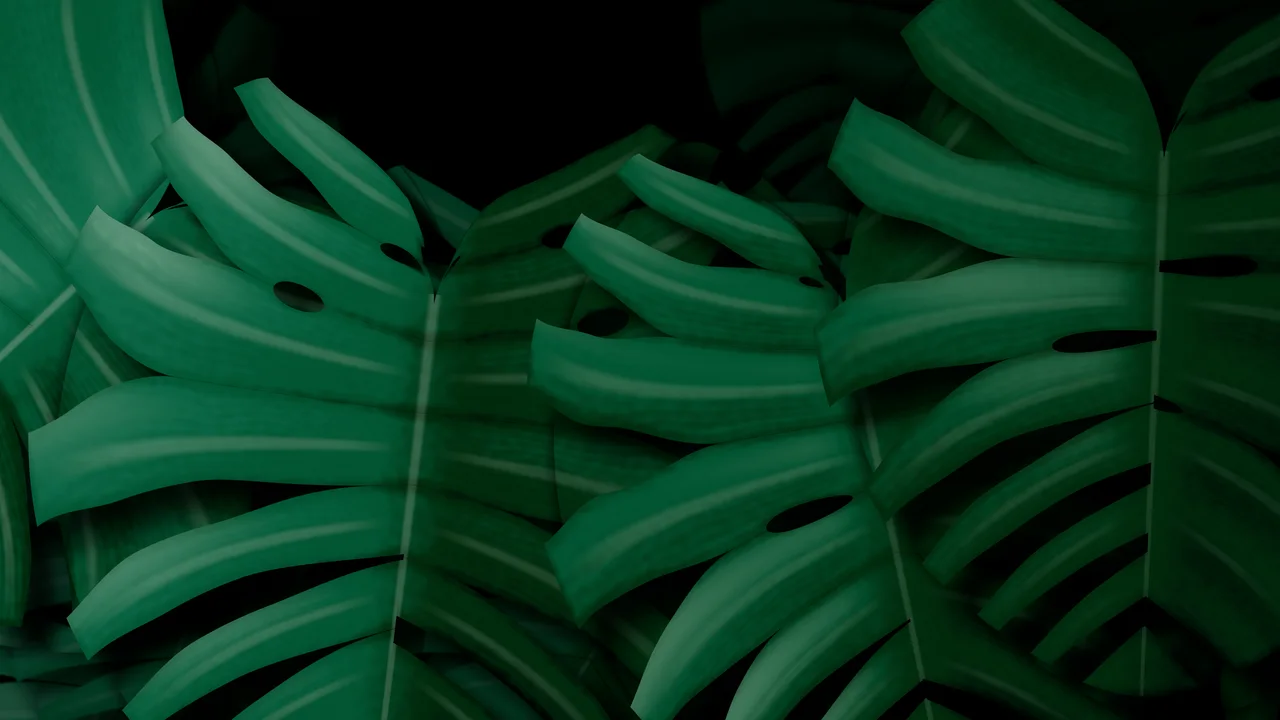 Black Monstera Leaves desktop wallpaper in 4K