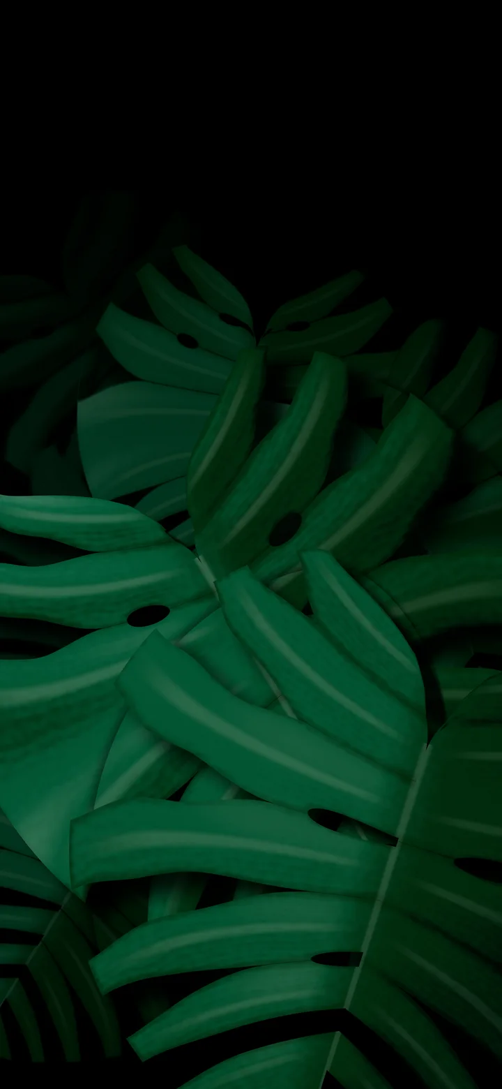Black Monstera Leaves wallpaper for iPhone and Android