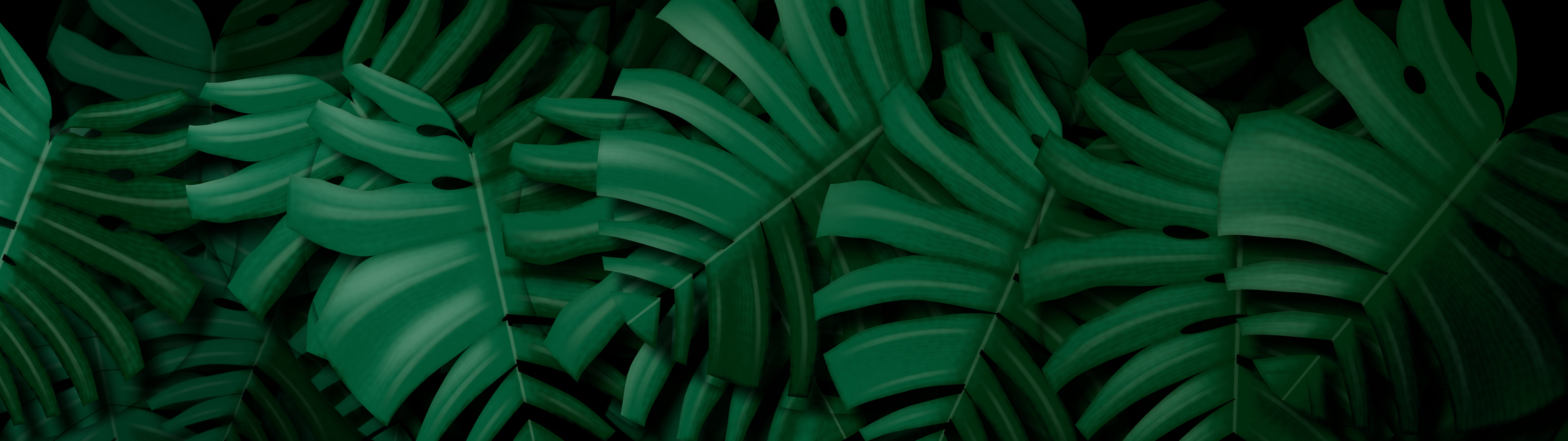 Black Monstera Leaves dual monitor wallpaper, 7680 × 2160