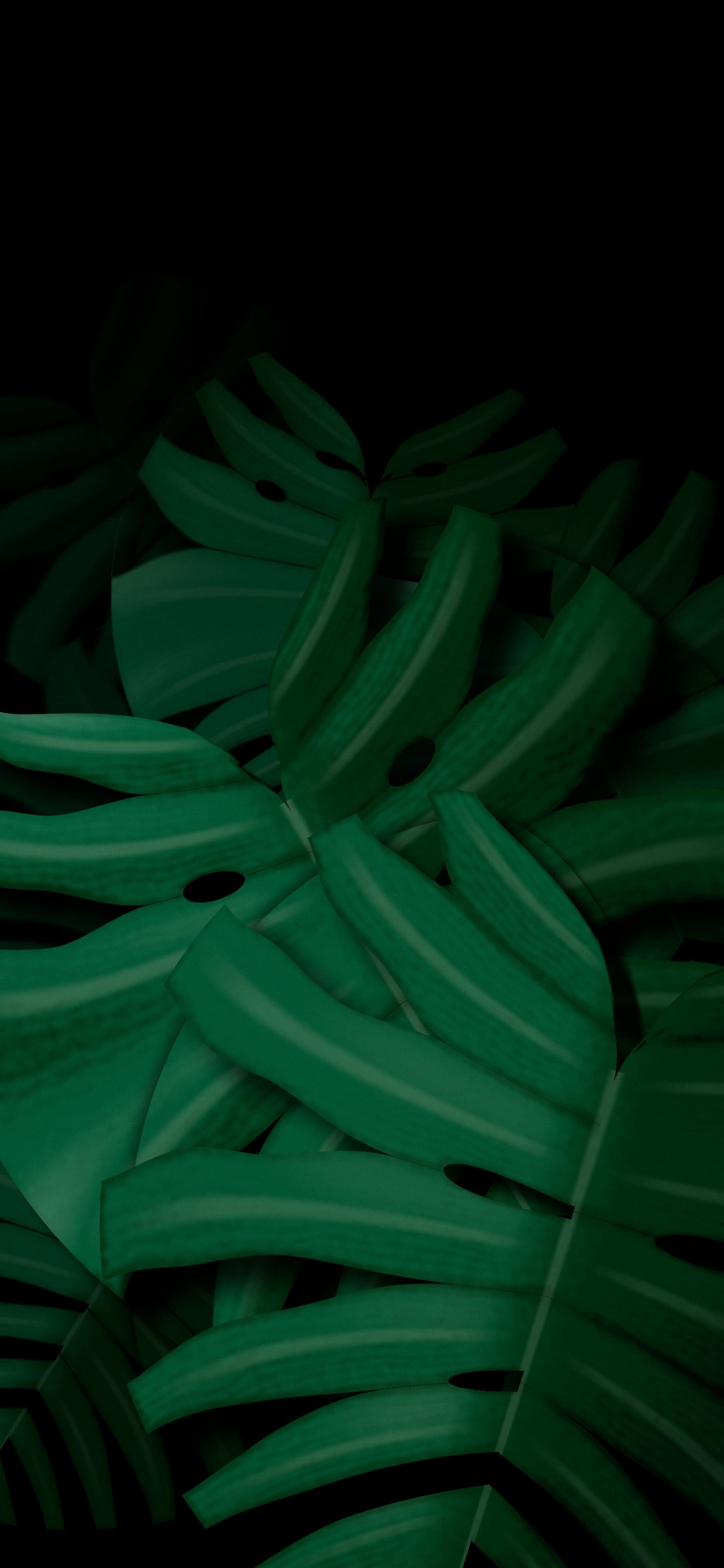 Black Monstera Leaves wallpaper for iPhone and Android