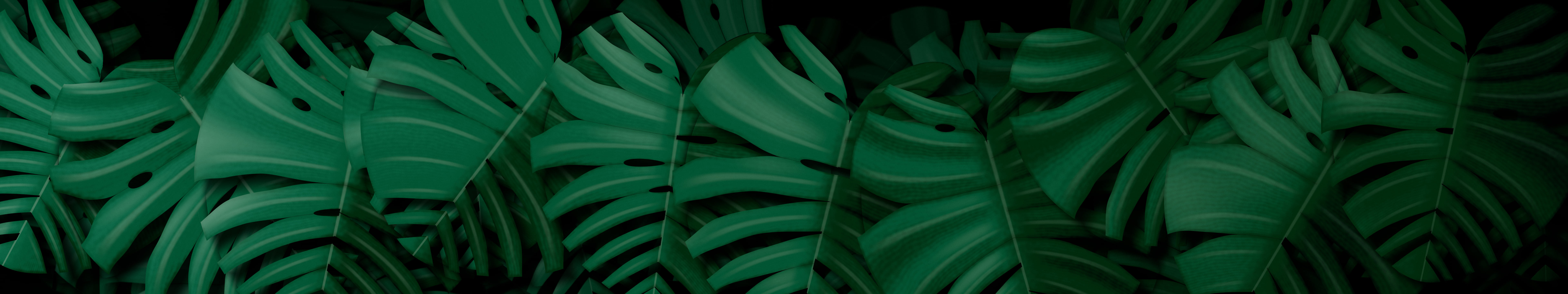 Black Monstera Leaves triple monitor wallpaper, 7680 × 1440