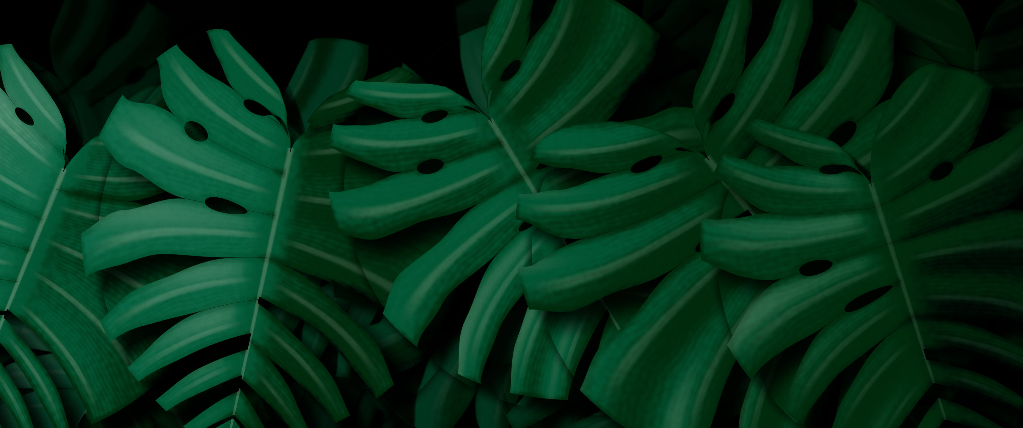 Black Monstera Leaves ultrawide wallpaper, 3440 × 1440