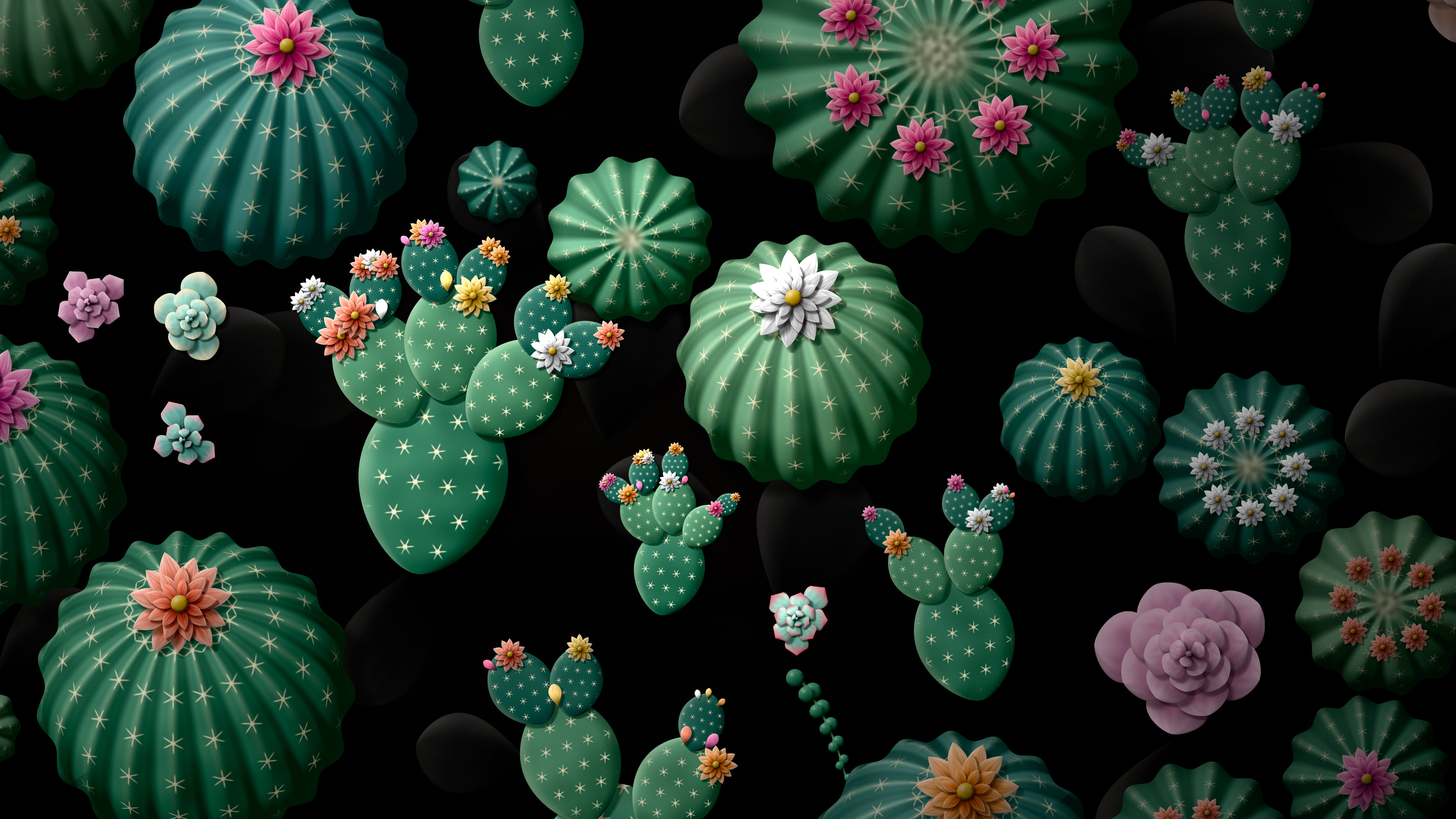 Black Paper Cactus and Succulents desktop wallpaper in 4K