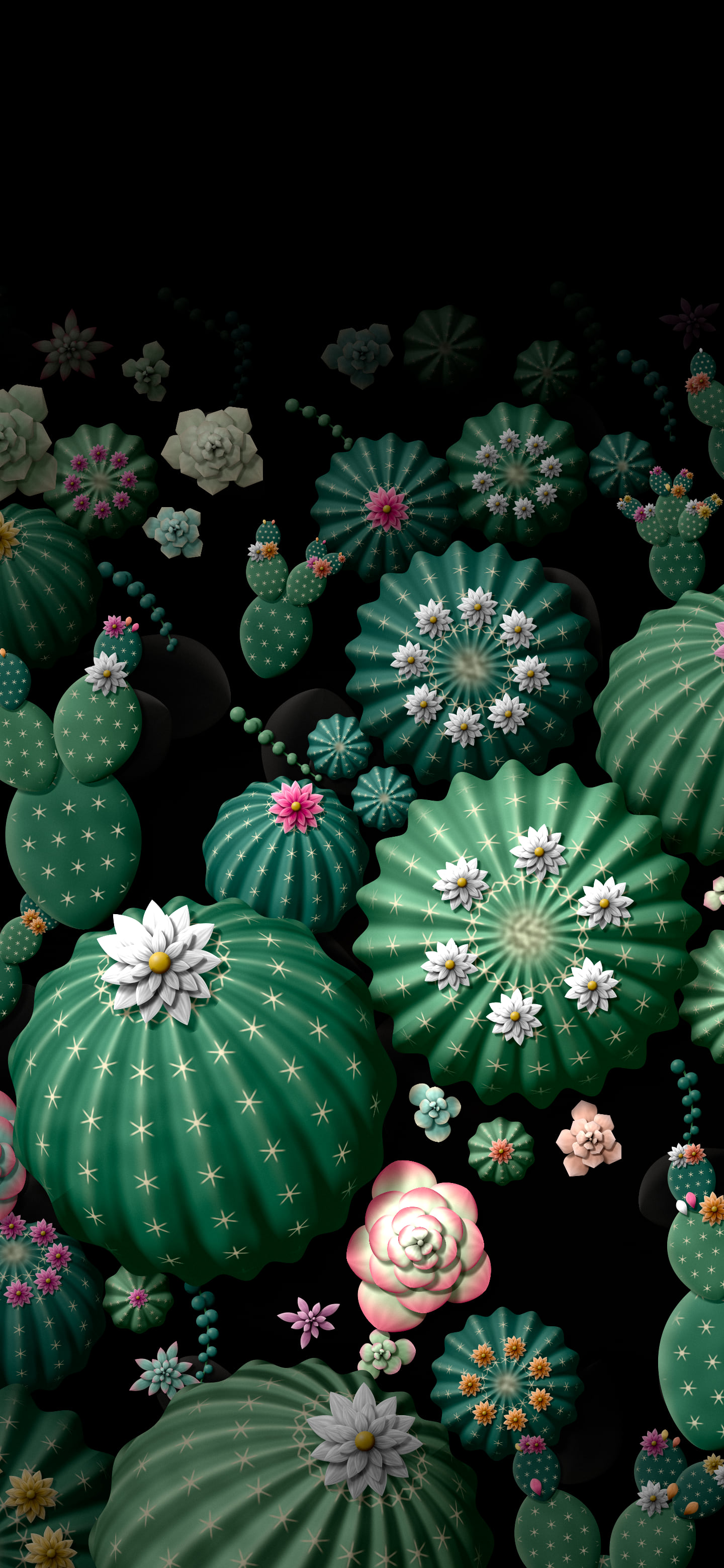 Black Paper Cactus and Succulents wallpaper for iPhone and Android