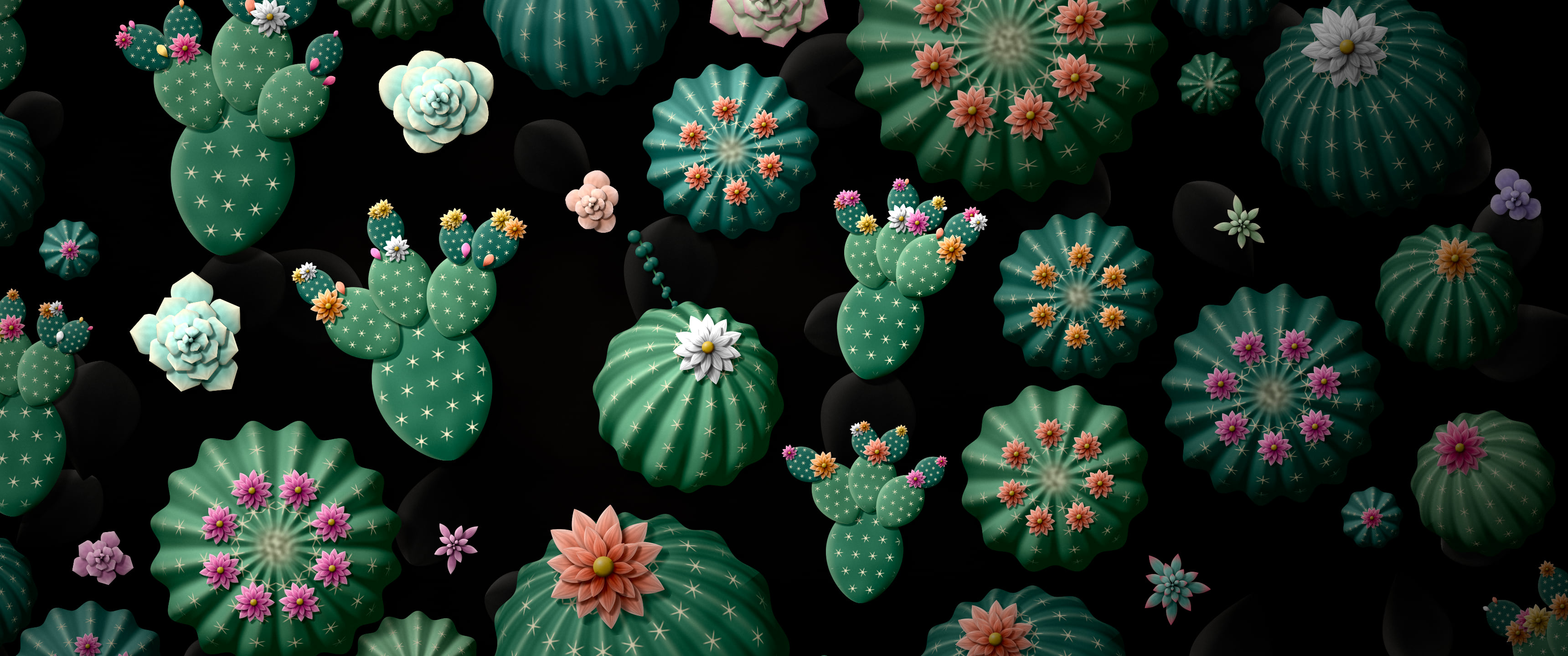 Black Paper Cactus and Succulents ultrawide wallpaper, 3440 × 1440