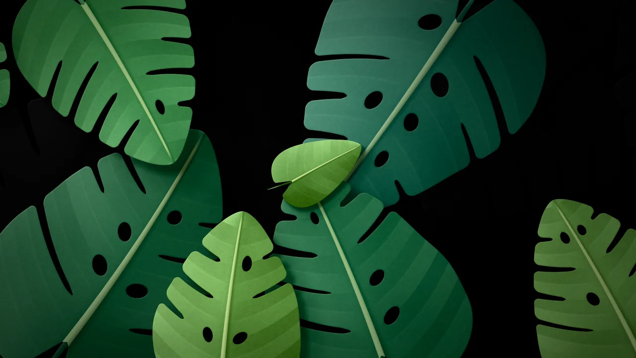 Black Paper Monstera Leaves desktop wallpaper in 4K