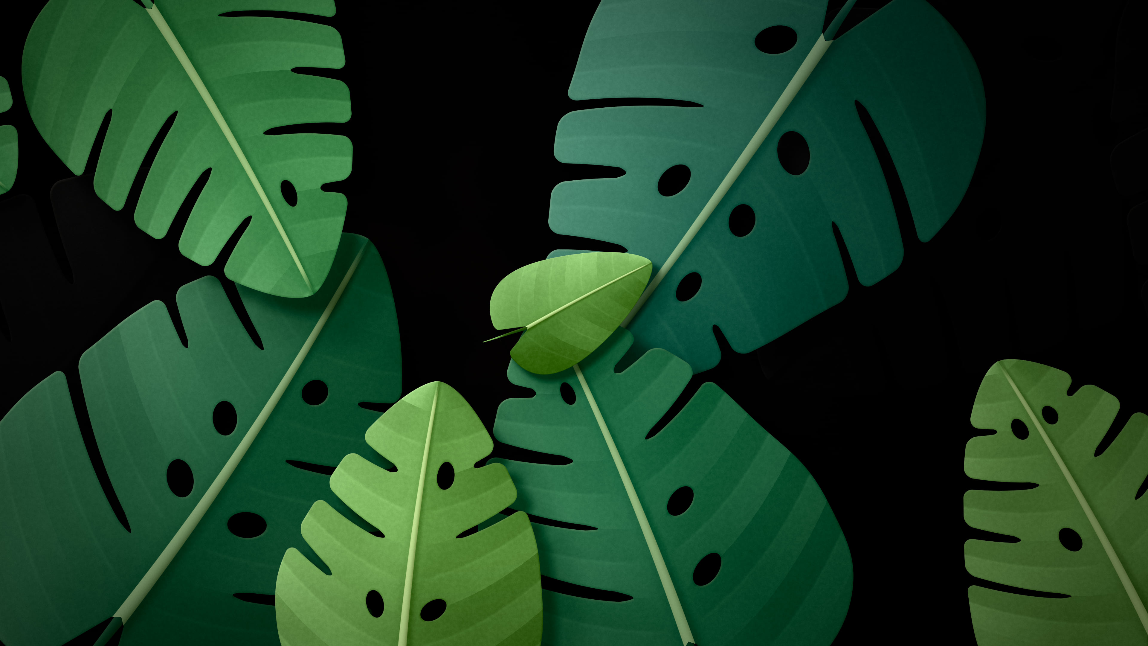 Black Paper Monstera Leaves desktop wallpaper in 4K