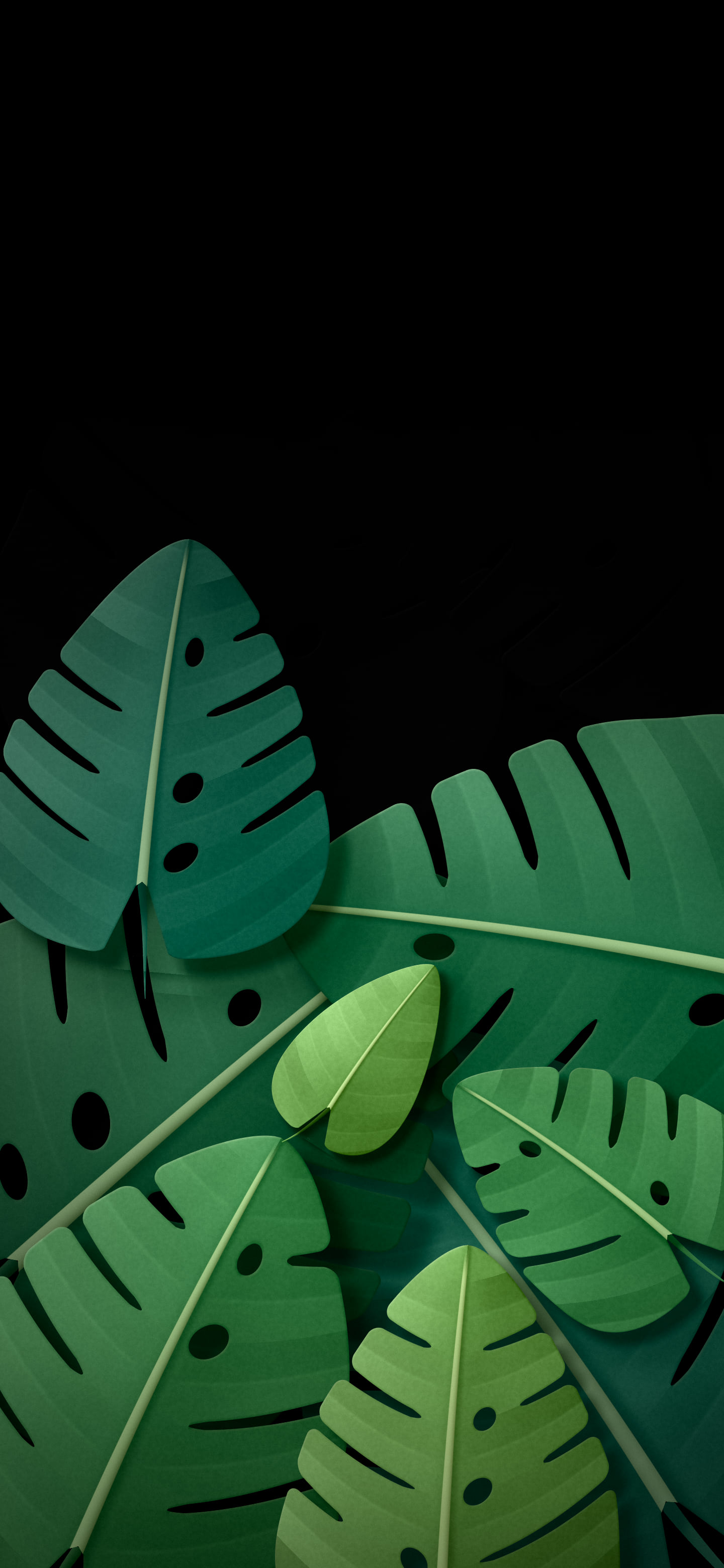 Black Paper Monstera Leaves wallpaper for iPhone and Android