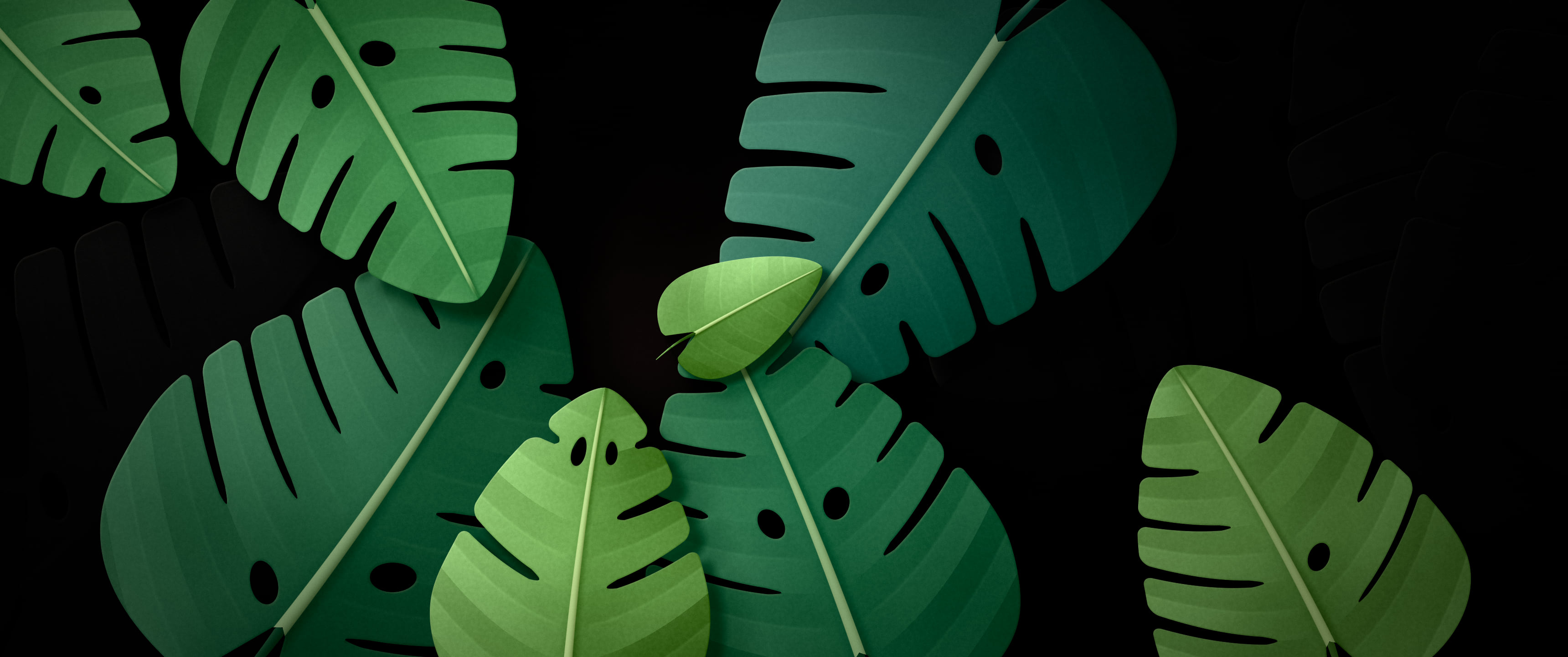 Black Paper Monstera Leaves ultrawide wallpaper, 3440 × 1440