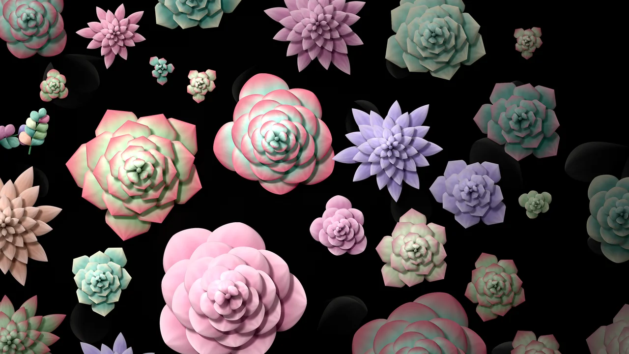 Black Paper Succulents desktop wallpaper in 4K