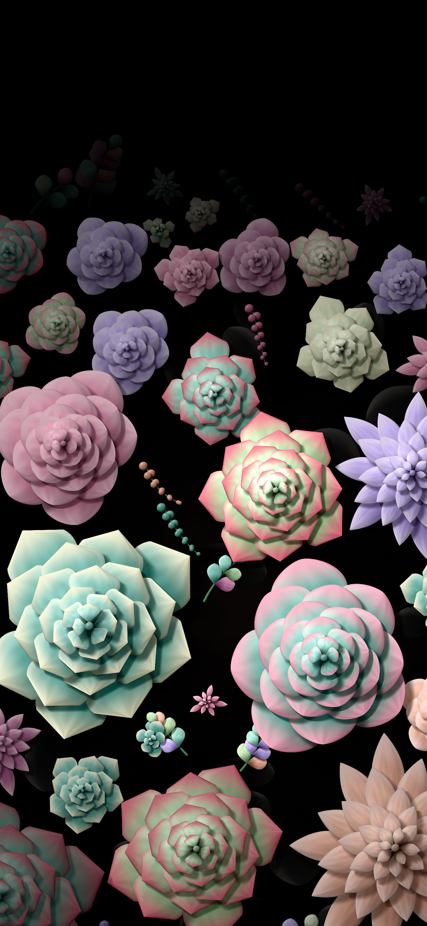 Black Paper Succulents wallpaper for iPhone and Android