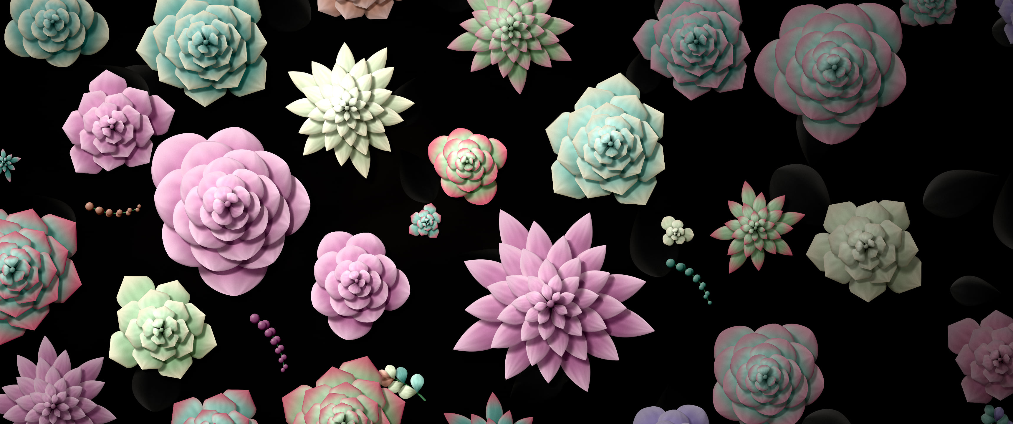 Black Paper Succulents ultrawide wallpaper, 3440 × 1440