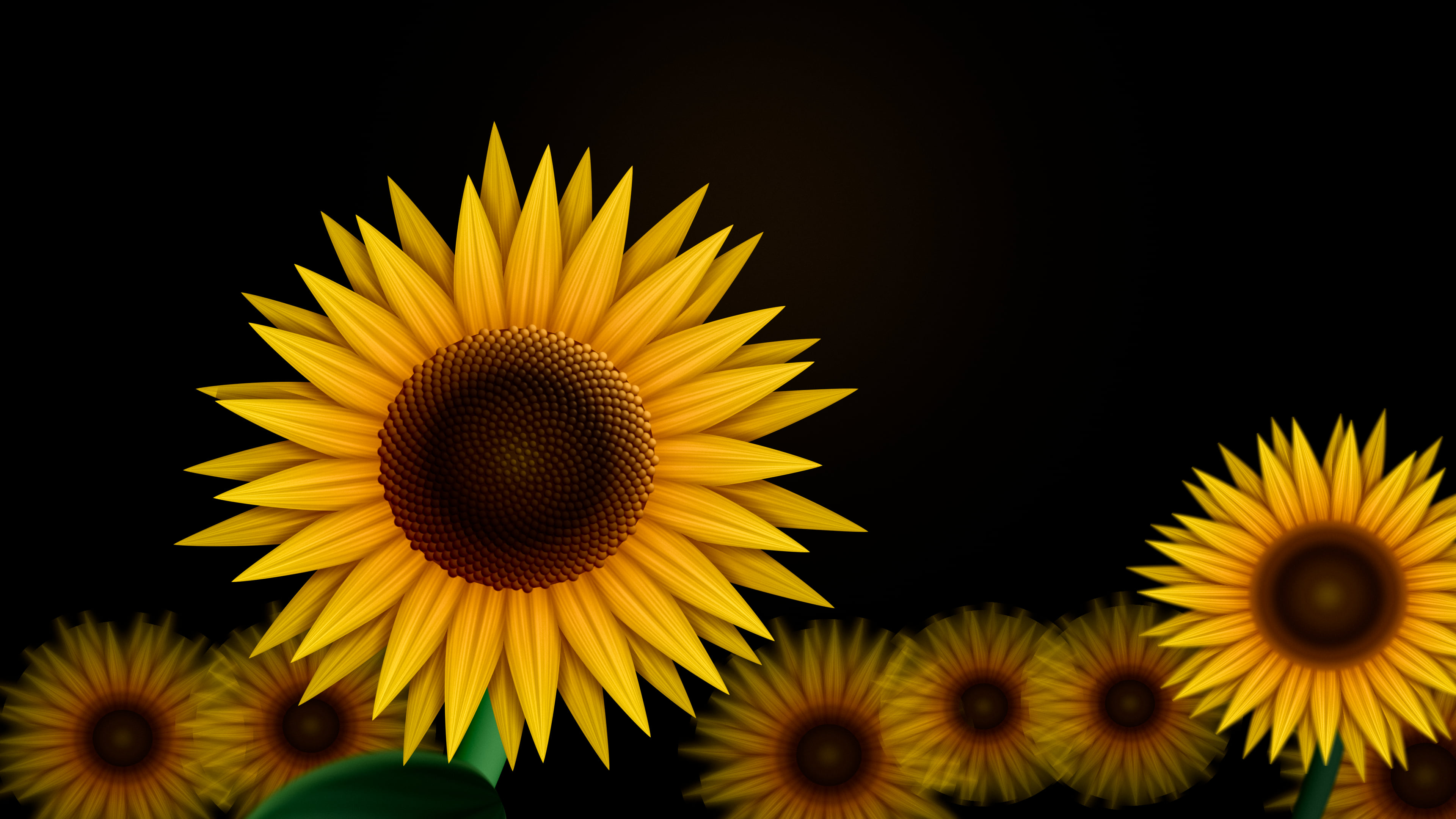 Black Sunflower Sky desktop wallpaper in 4K