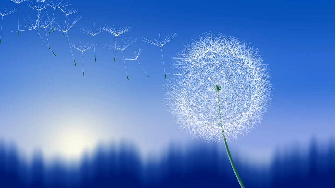 Blue Dandelion desktop wallpaper in 4K
