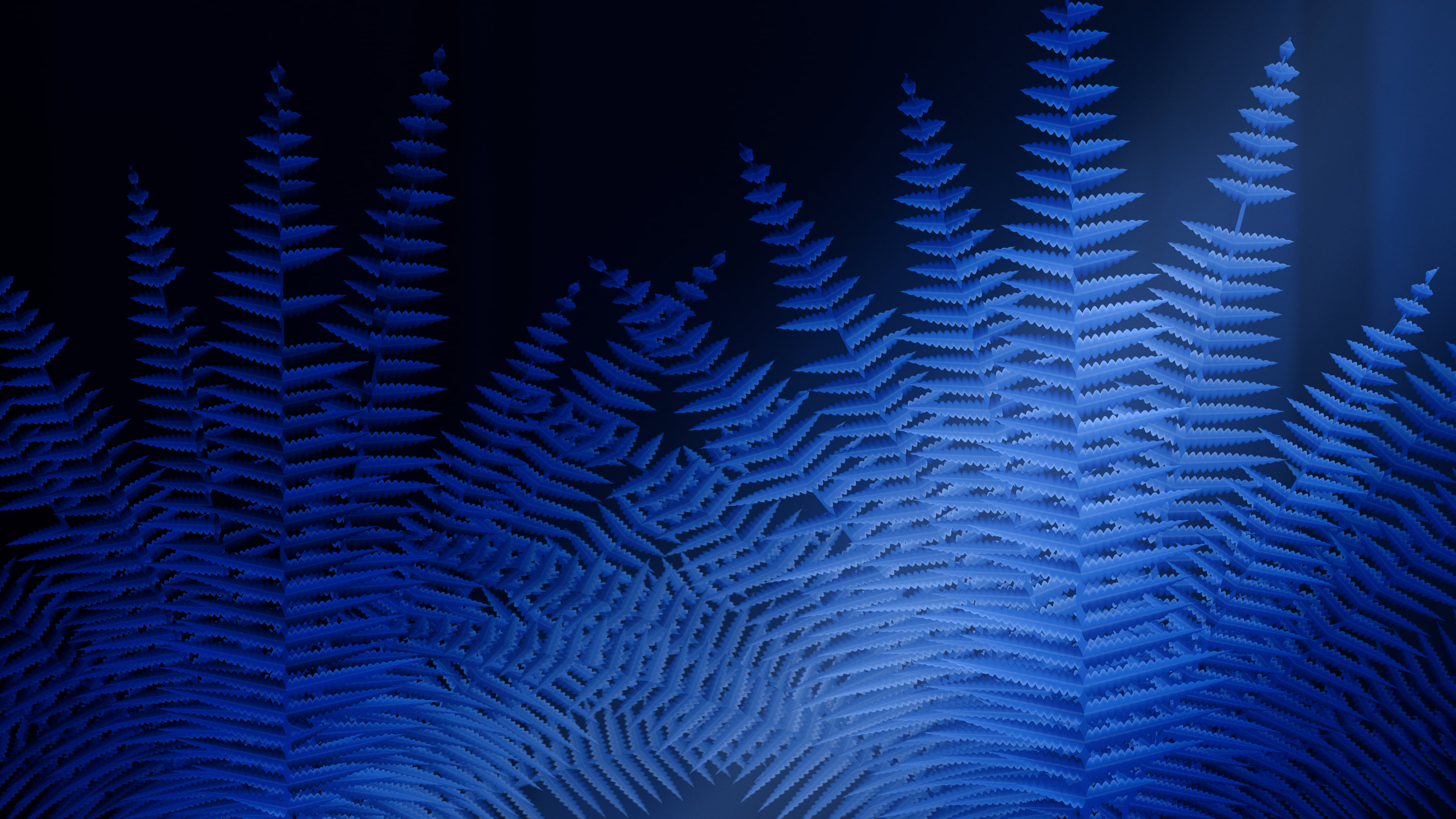 Blue Fern Leaves desktop wallpaper in 4K