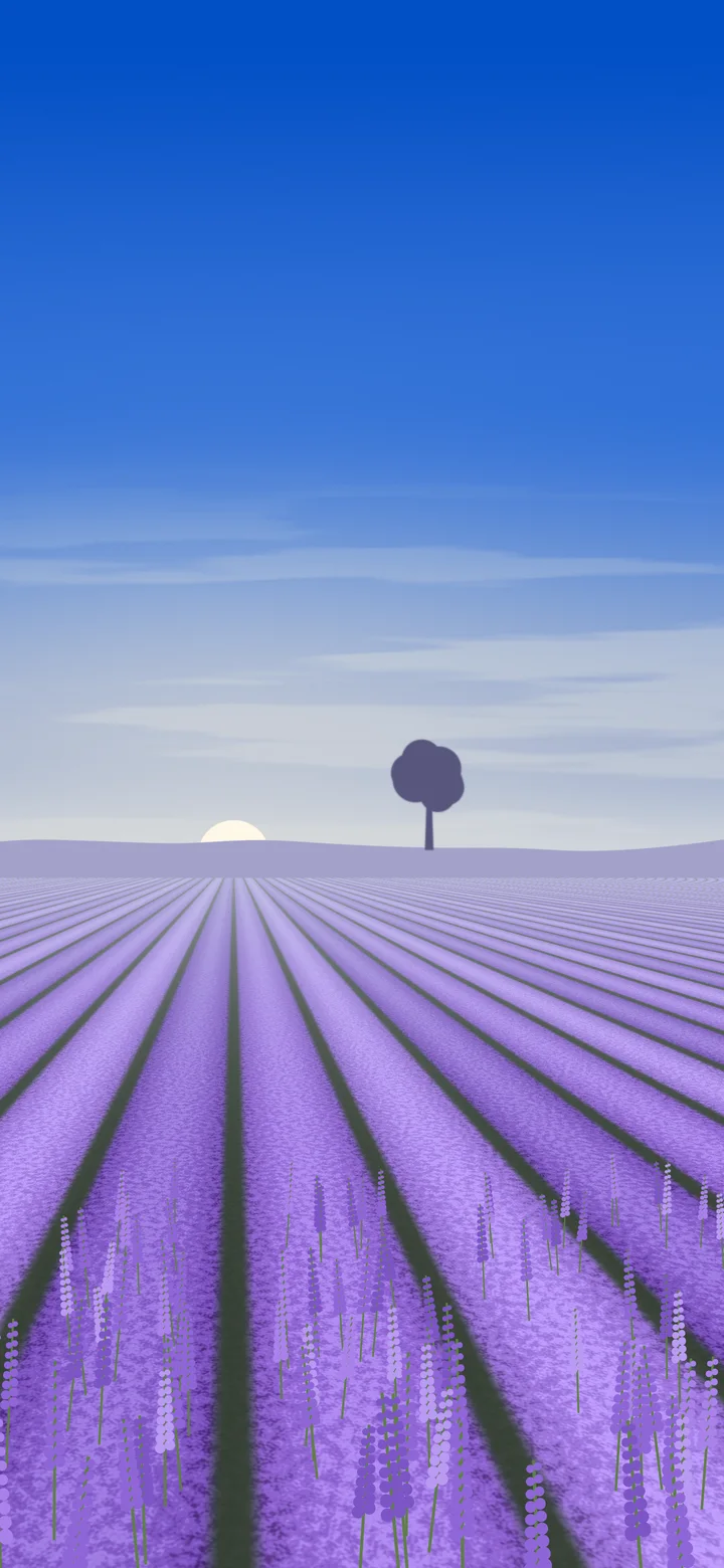 Blue Lavender Field wallpaper for iPhone and Android