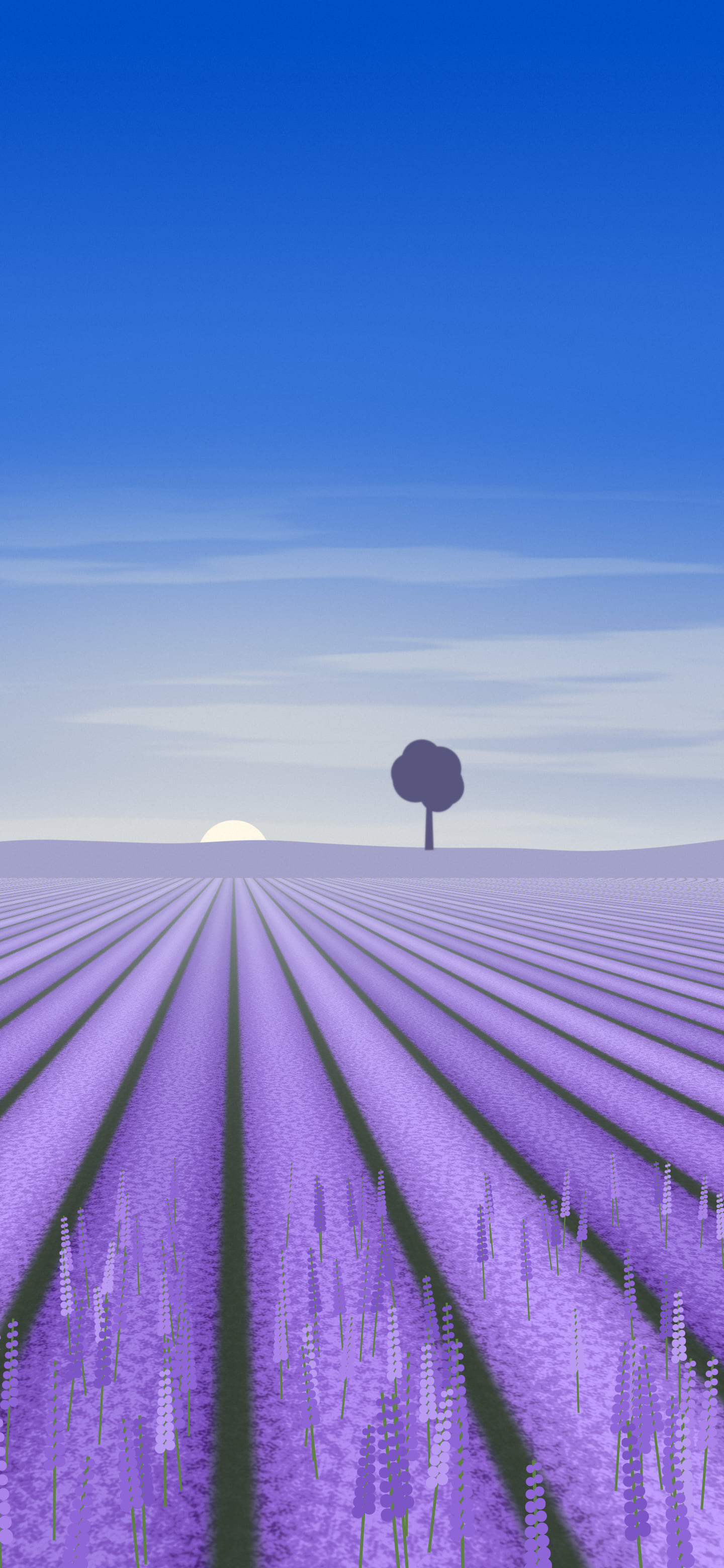 Blue Lavender Field wallpaper for iPhone and Android