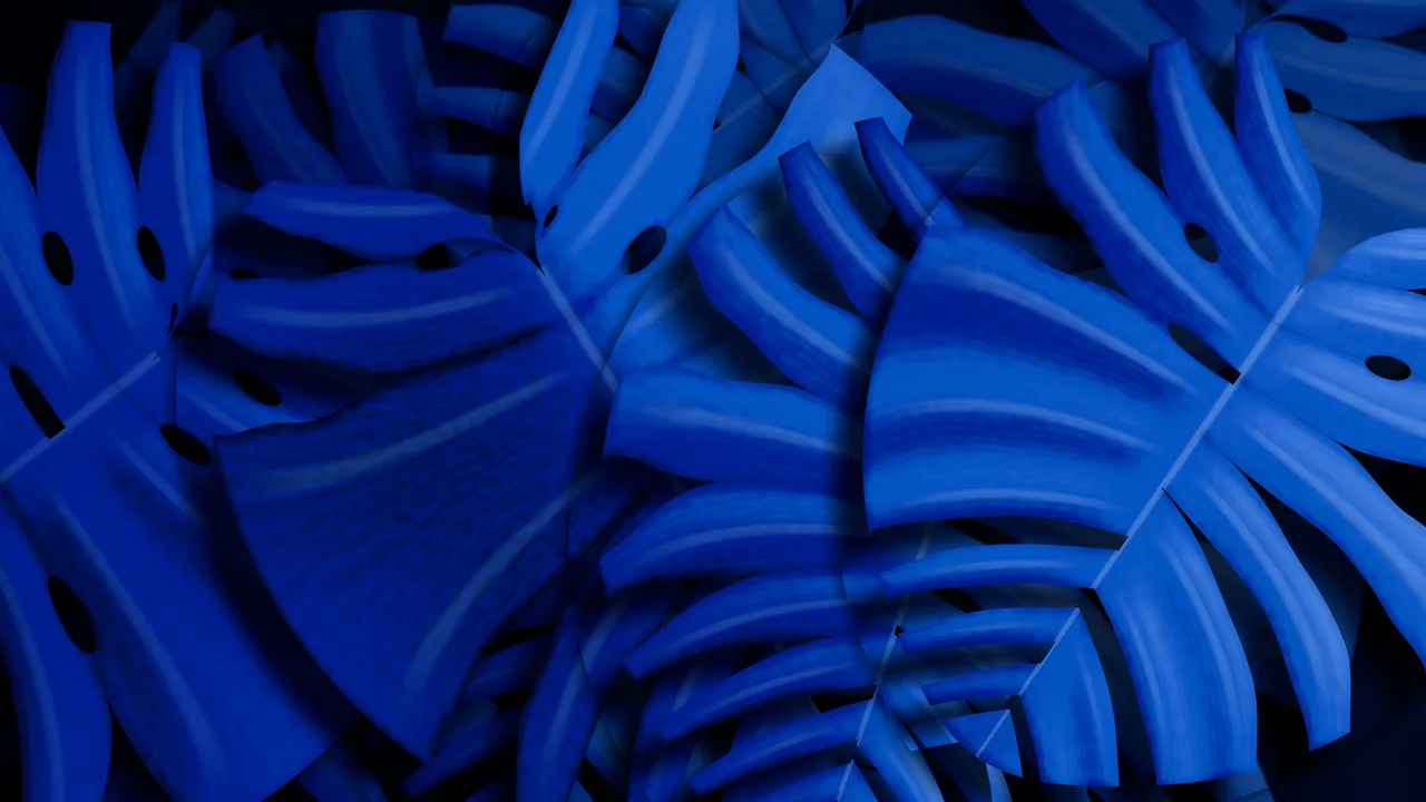 Blue Monstera Leaves desktop wallpaper in 4K
