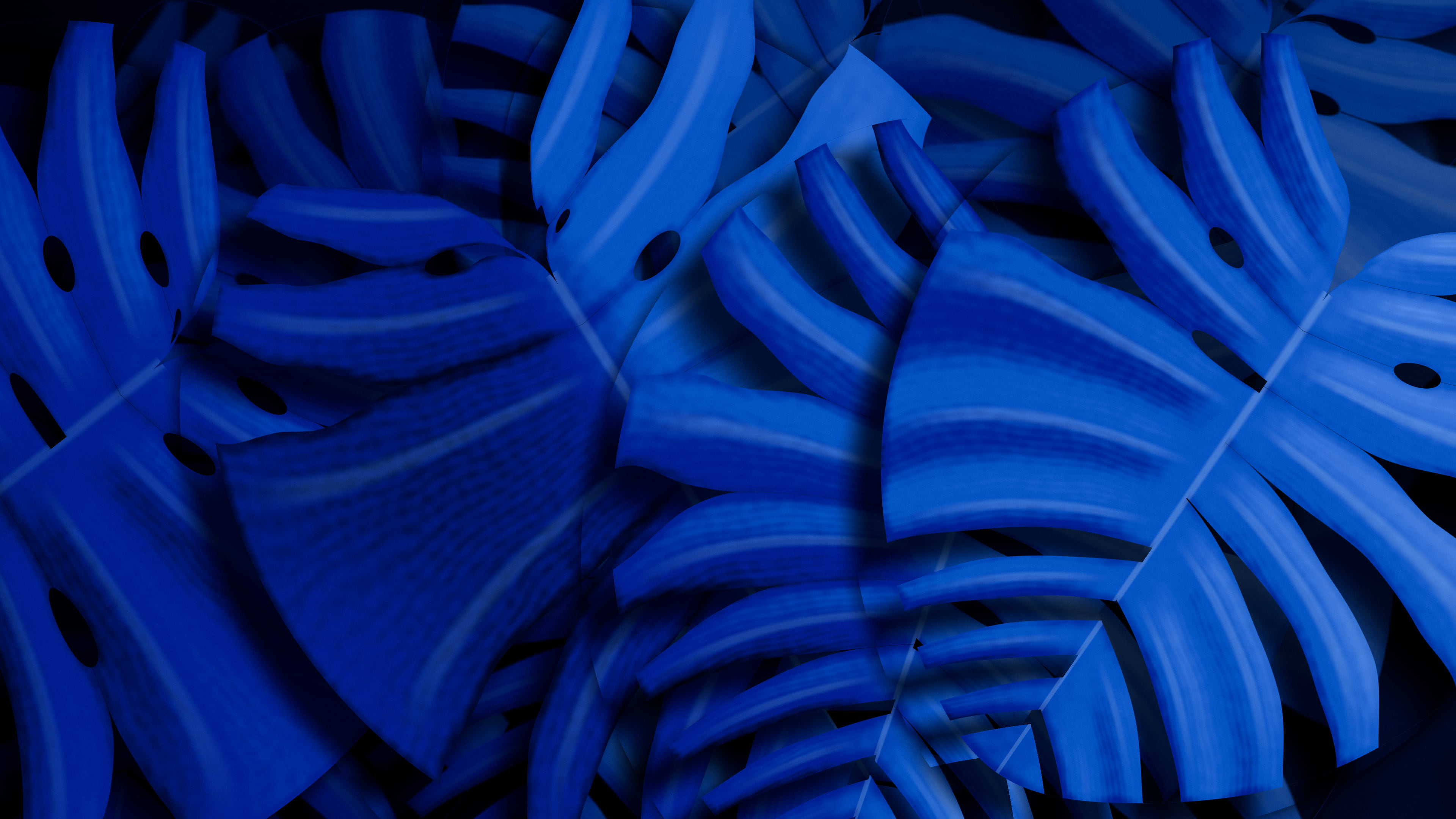Blue Monstera Leaves desktop wallpaper in 4K