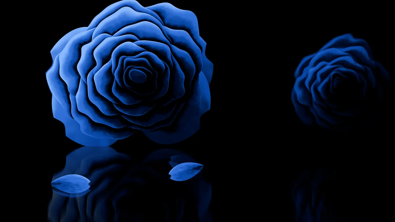 Blue Rose Reflection desktop wallpaper in 4K