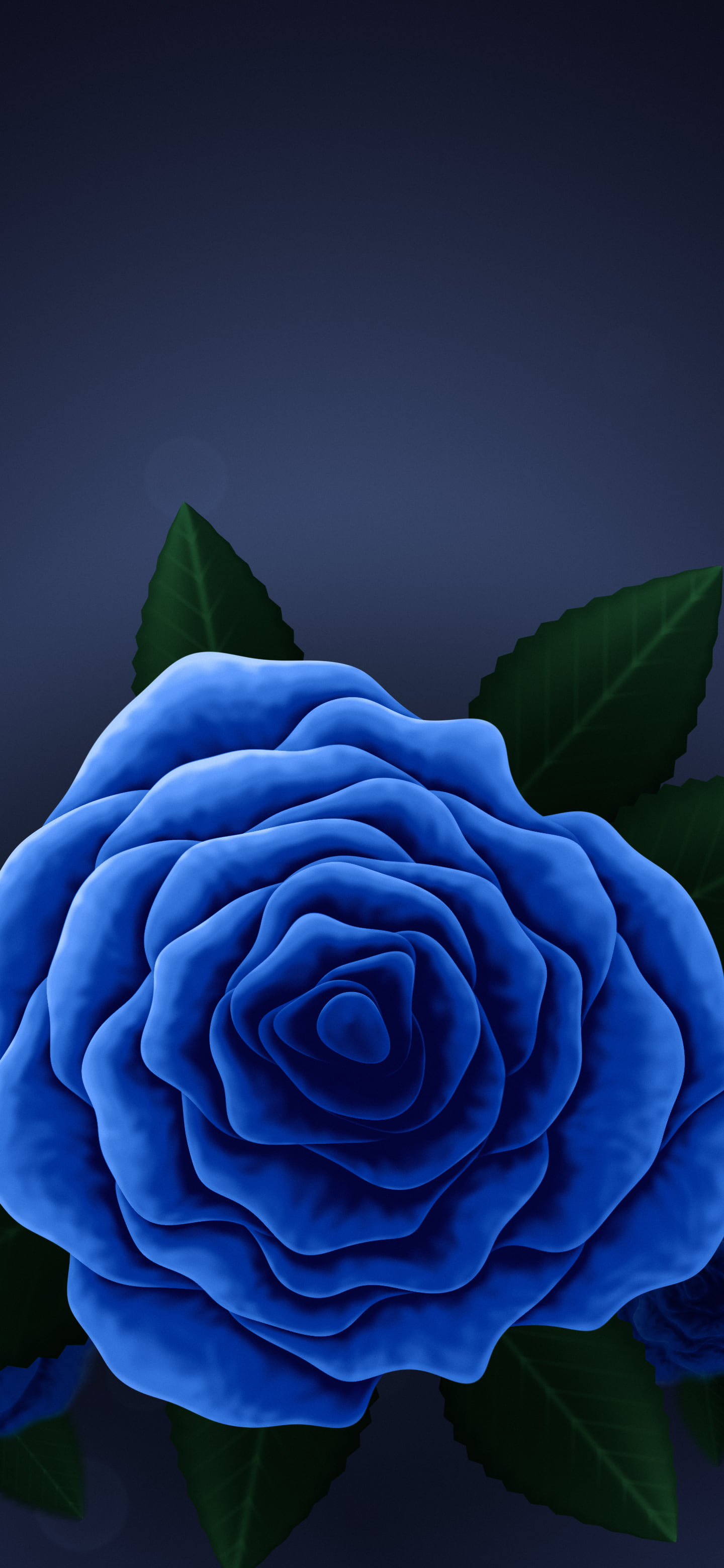 Blue Rose wallpaper for iPhone and Android