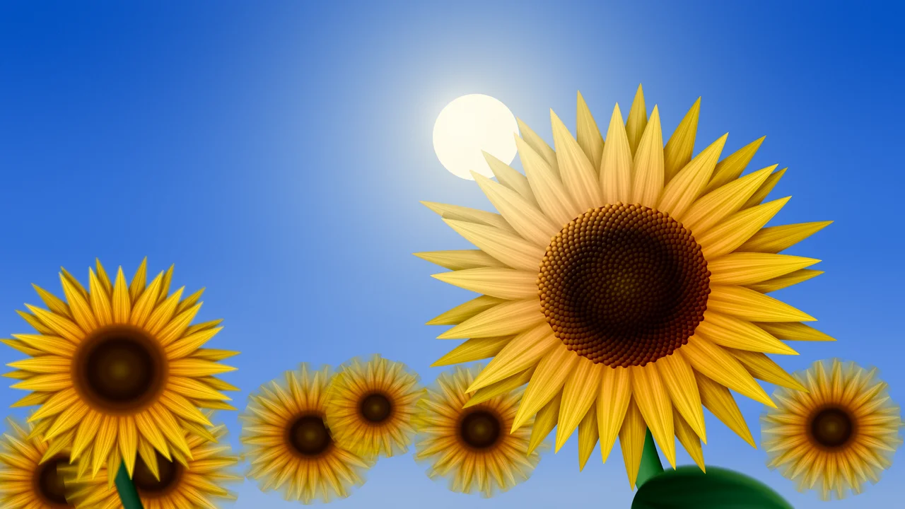 Blue Sunflower Sky desktop wallpaper in 4K