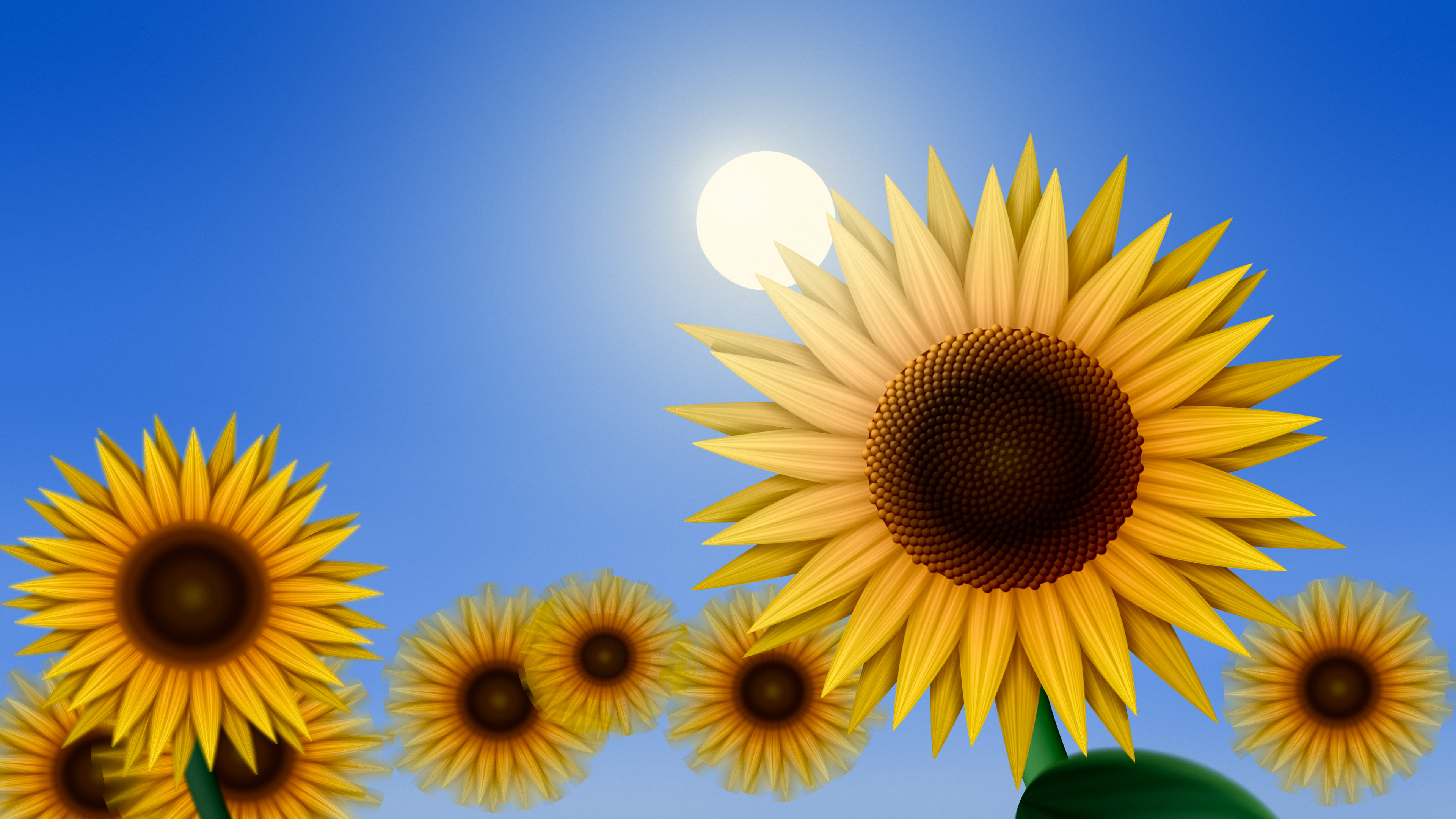 Blue Sunflower Sky desktop wallpaper in 4K