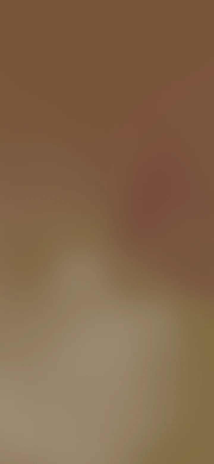 Brown Mesh Gradient wallpaper for iPhone and Android