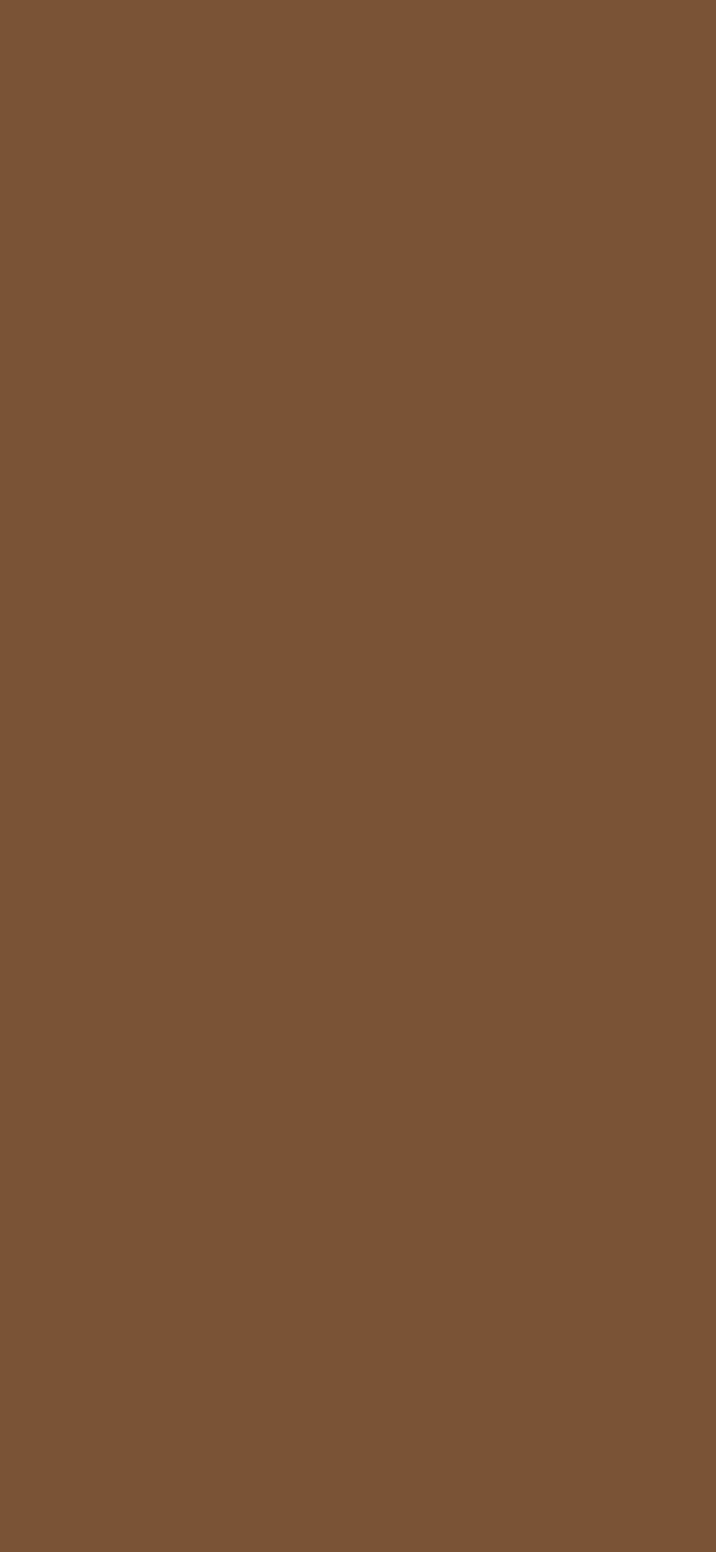 Brown Plain Solid Color wallpaper for iPhone and Android