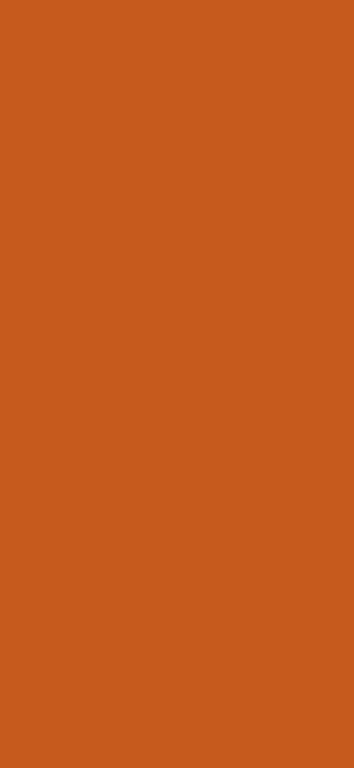 Burnt Orange Plain Solid Color wallpaper for iPhone and Android