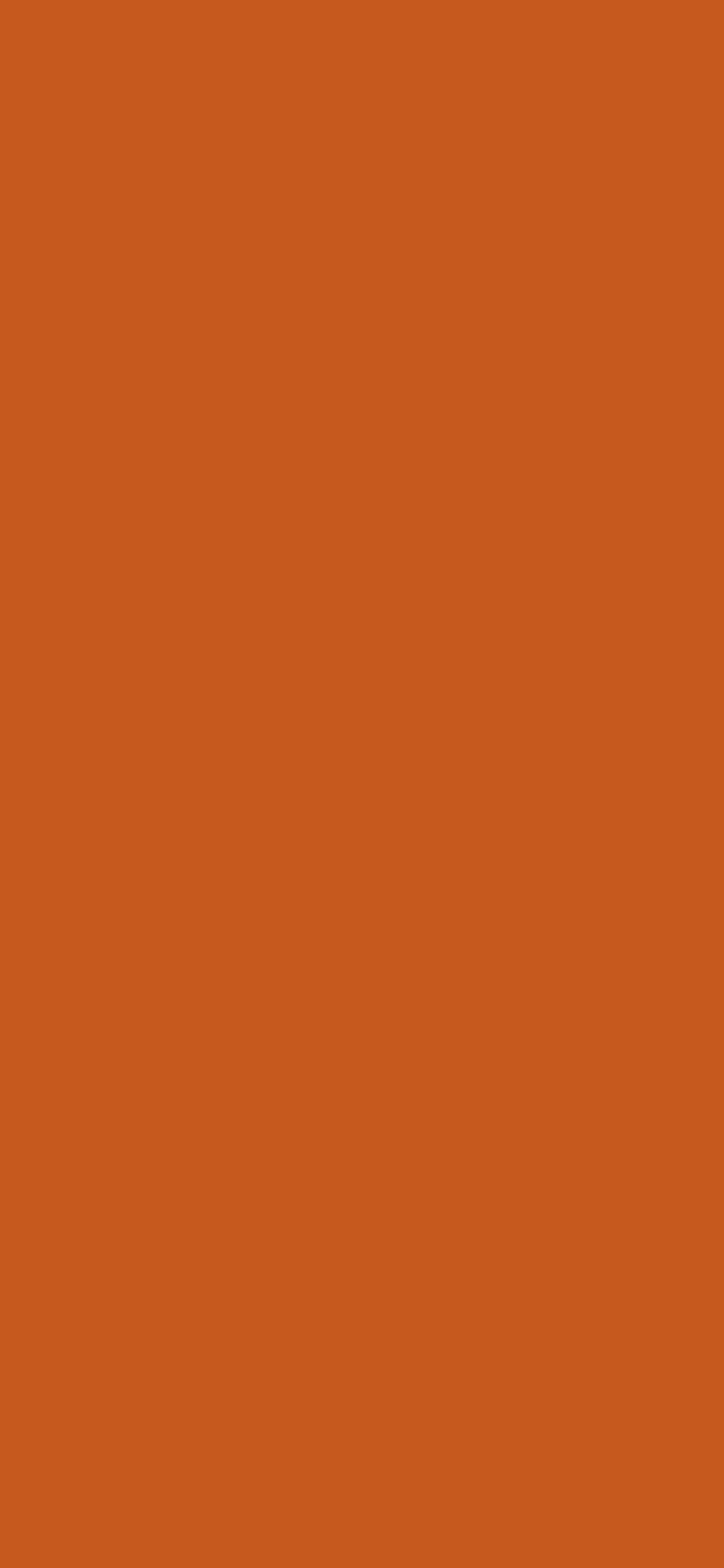 Burnt Orange Plain Solid Color wallpaper for iPhone and Android