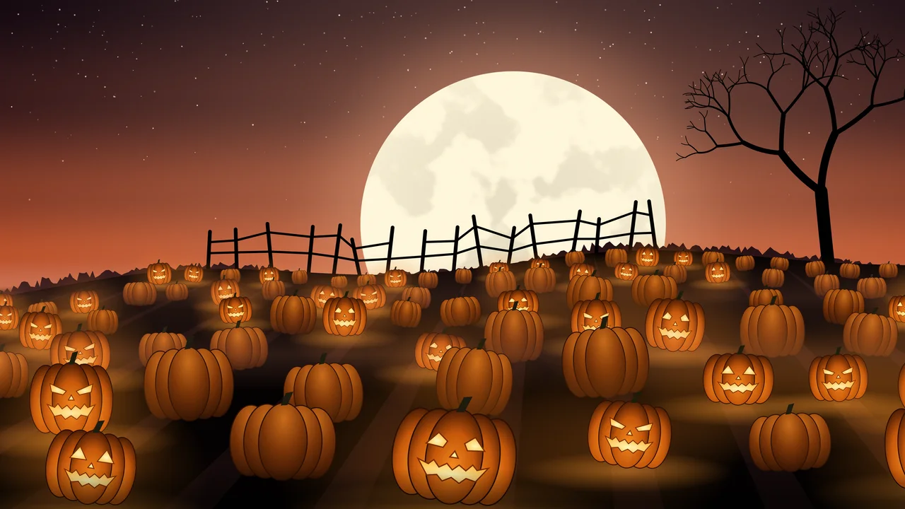 Burnt Orange Pumpkin Patch desktop wallpaper in 4K