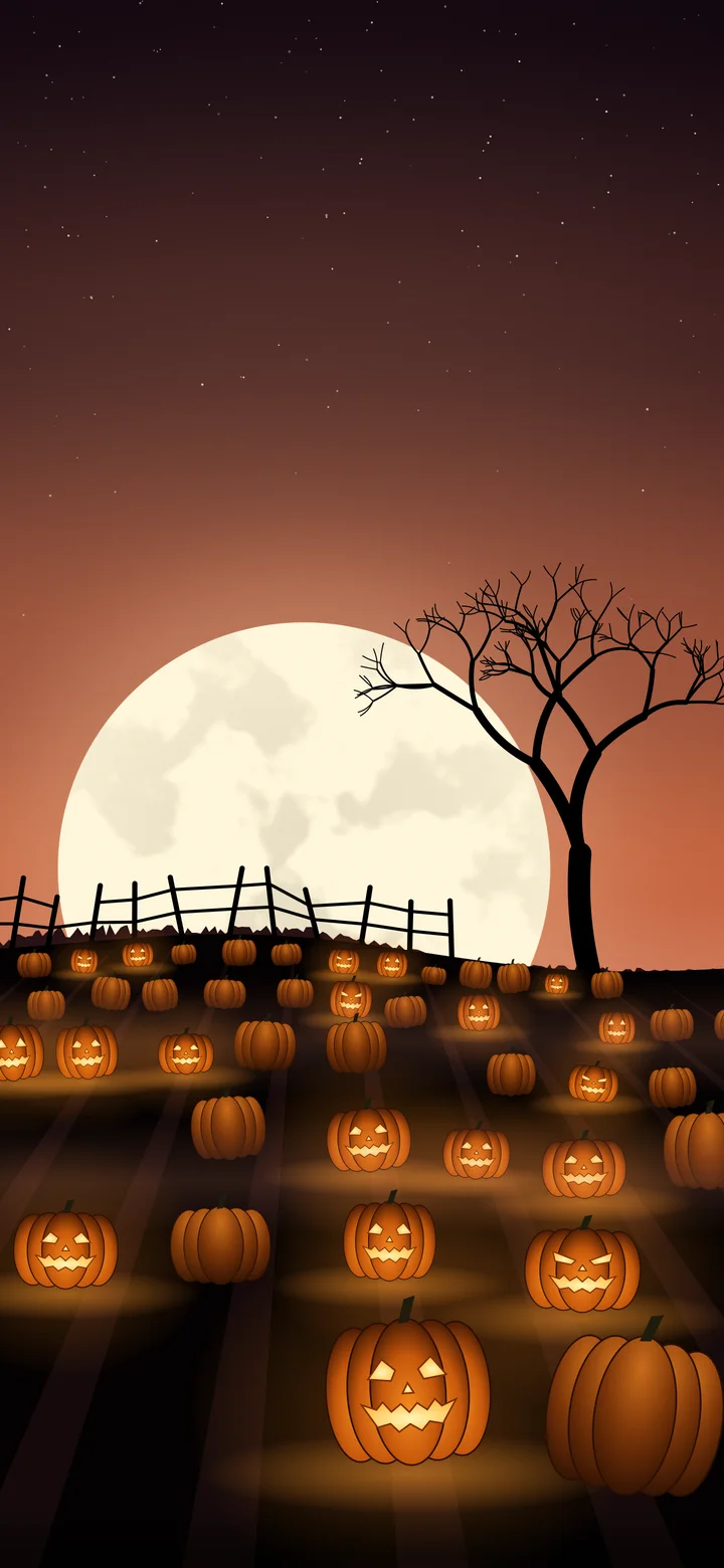 Burnt Orange Pumpkin Patch wallpaper for iPhone and Android
