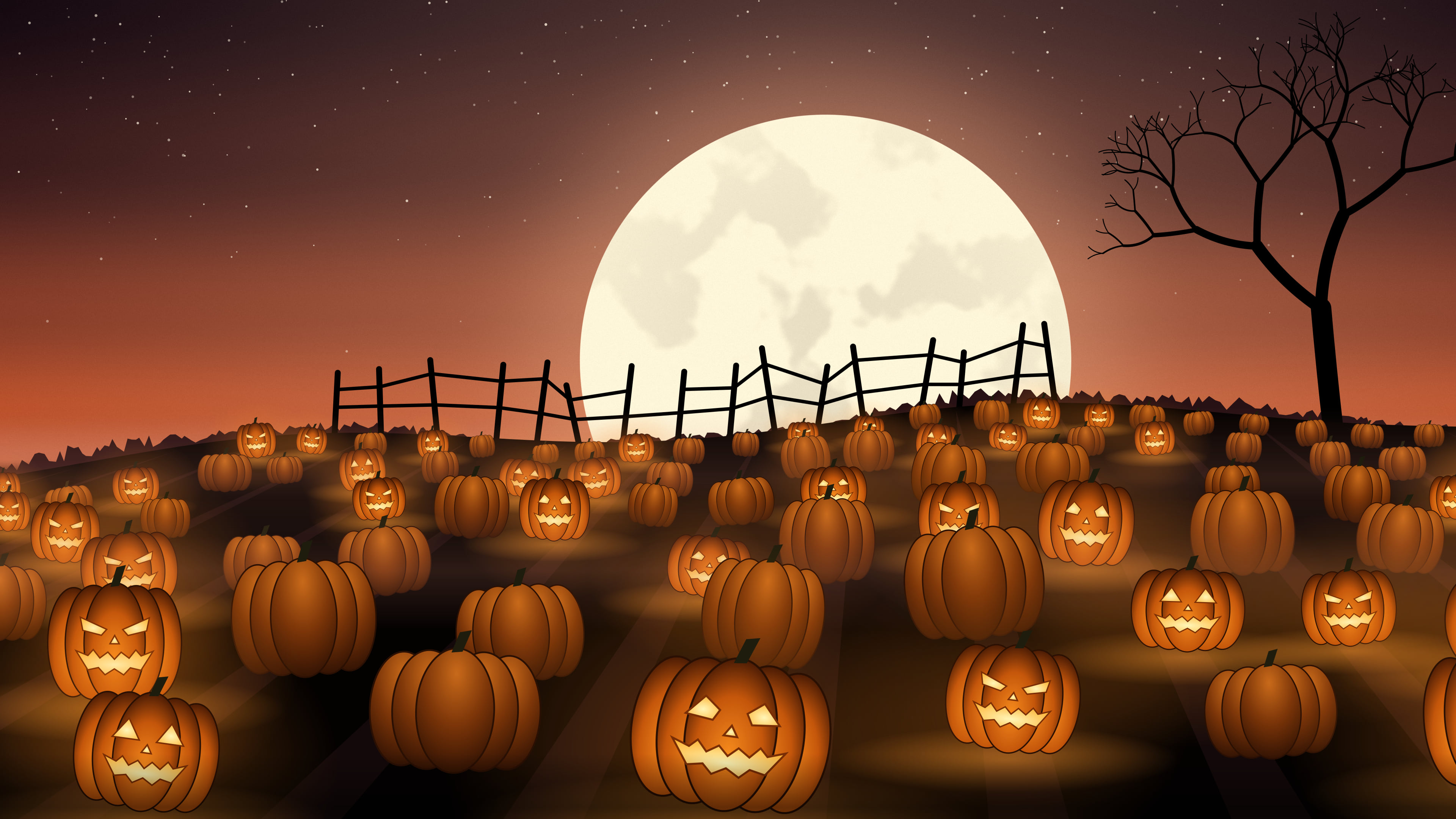 Burnt Orange Pumpkin Patch desktop wallpaper in 4K