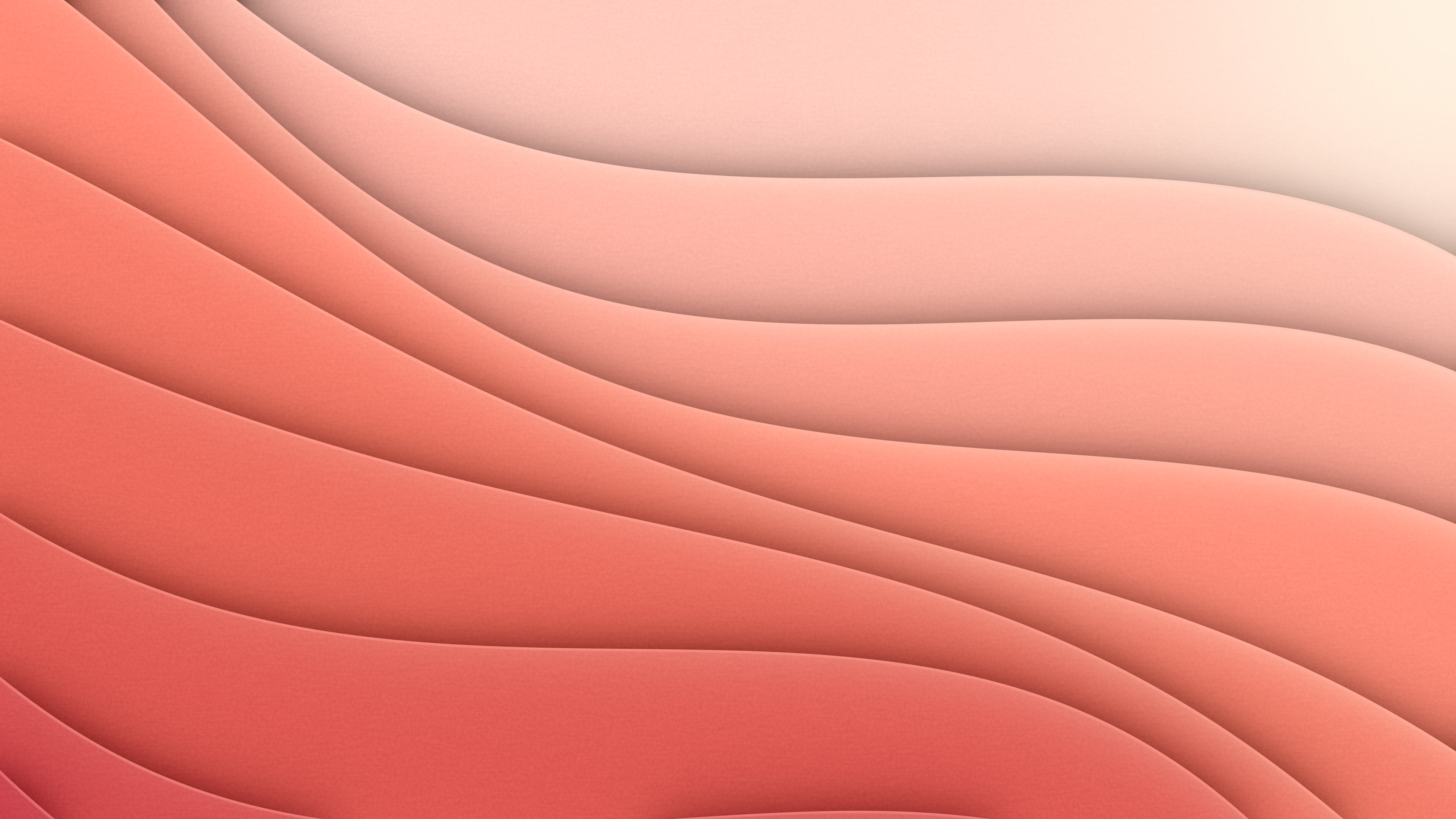 Coral 3D Paper Cut Abstract Curves desktop wallpaper in 4K