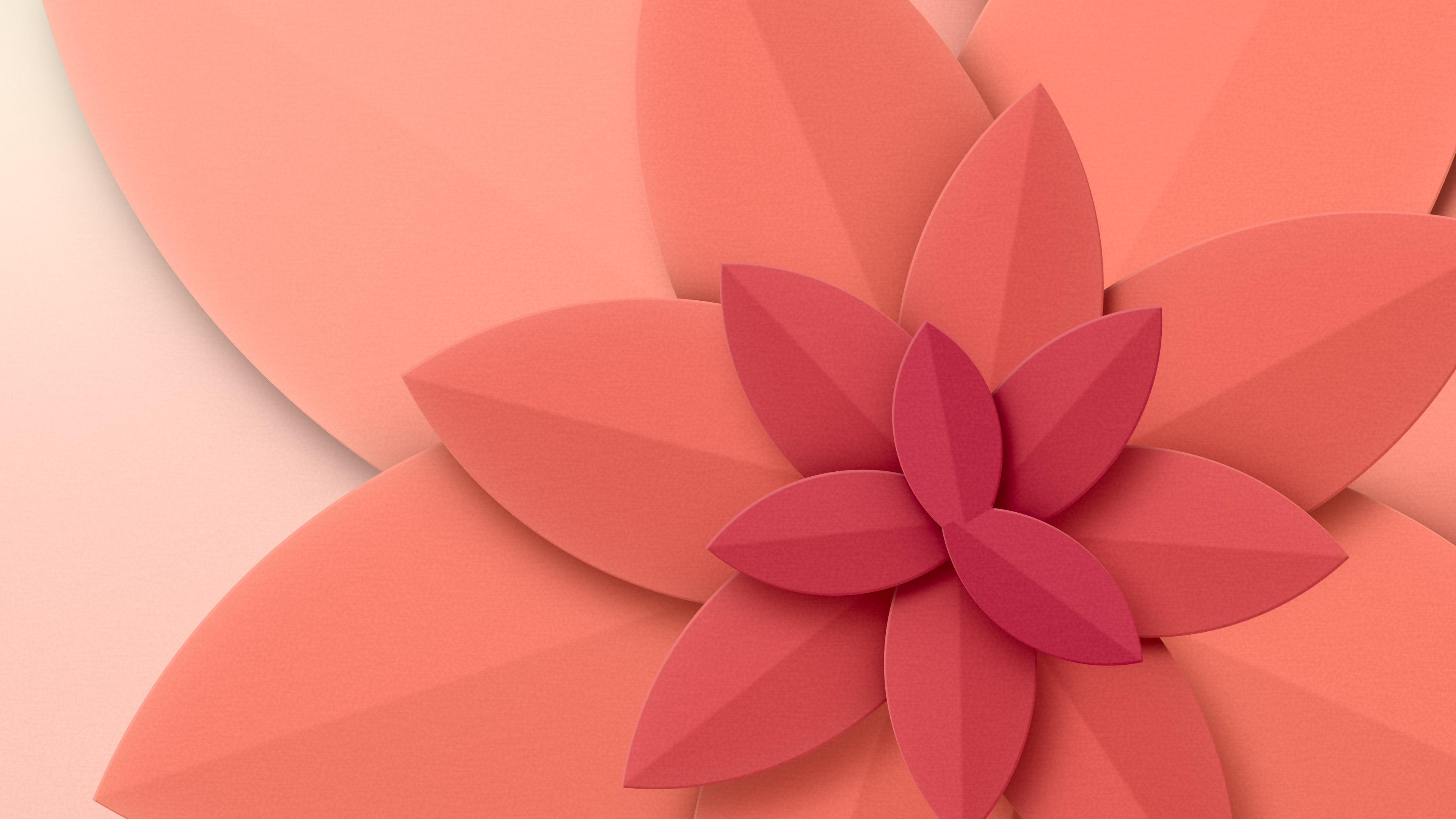 Coral 3D Paper Cut Abstract Petals desktop wallpaper in 4K