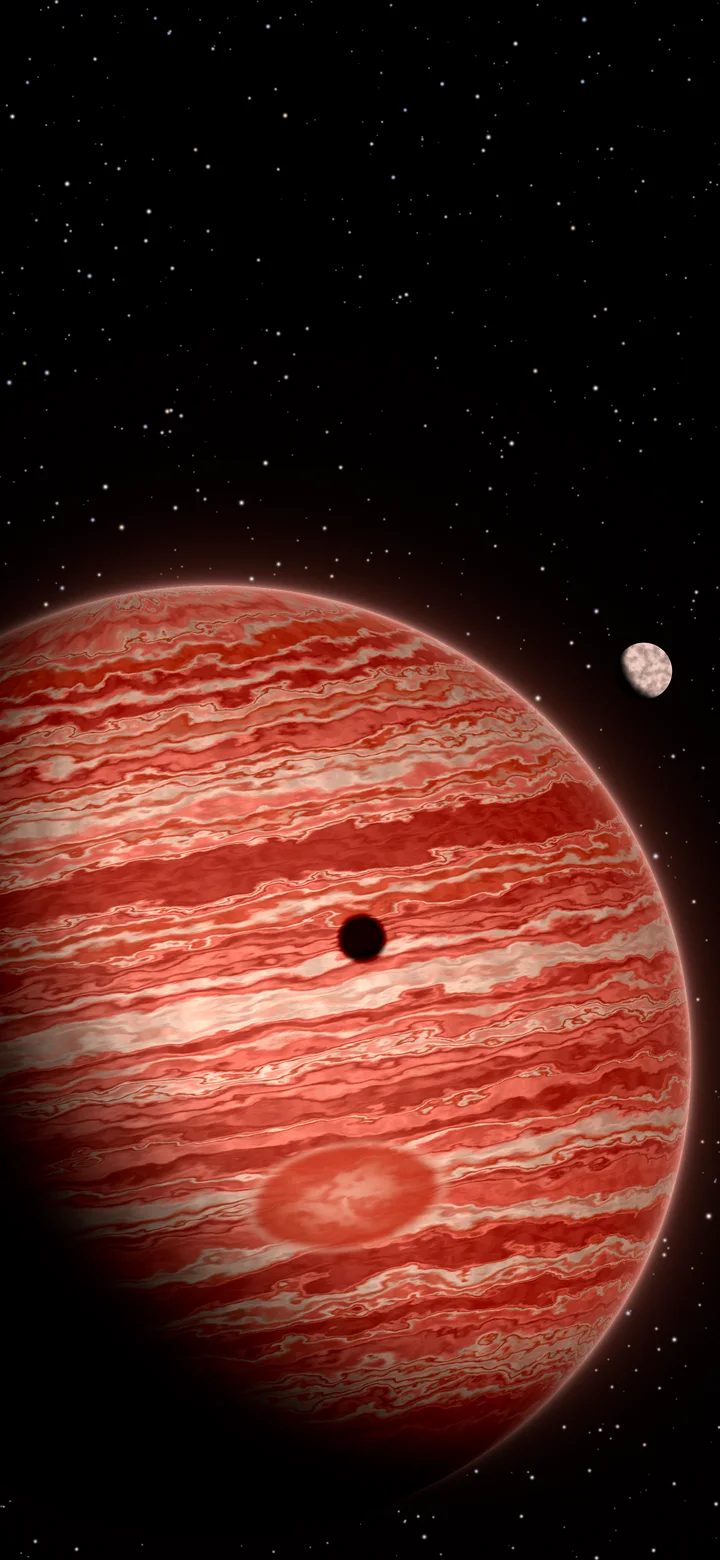 Coral Jupiter wallpaper for iPhone and Android