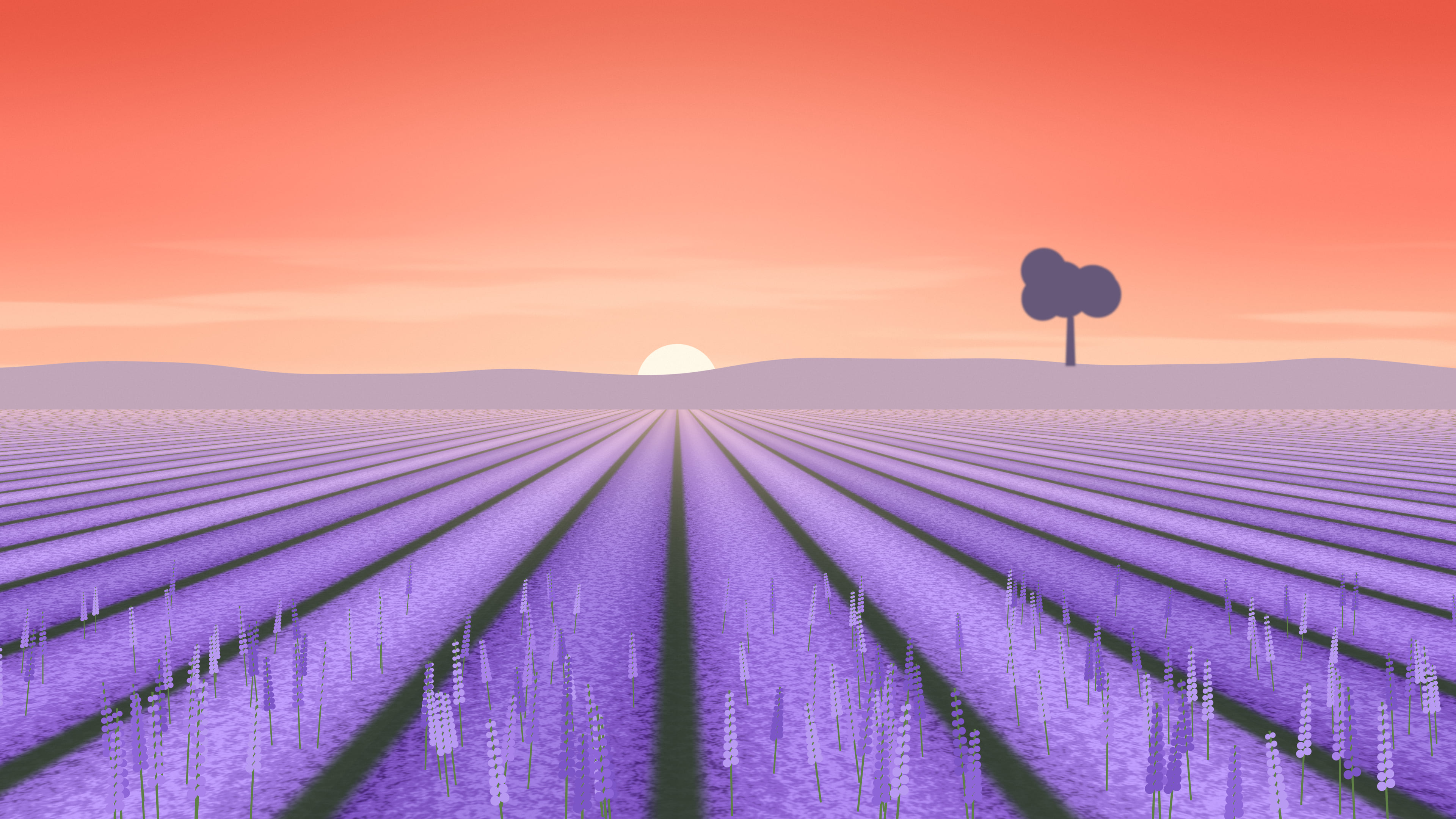 Coral Lavender Field desktop wallpaper in 4K