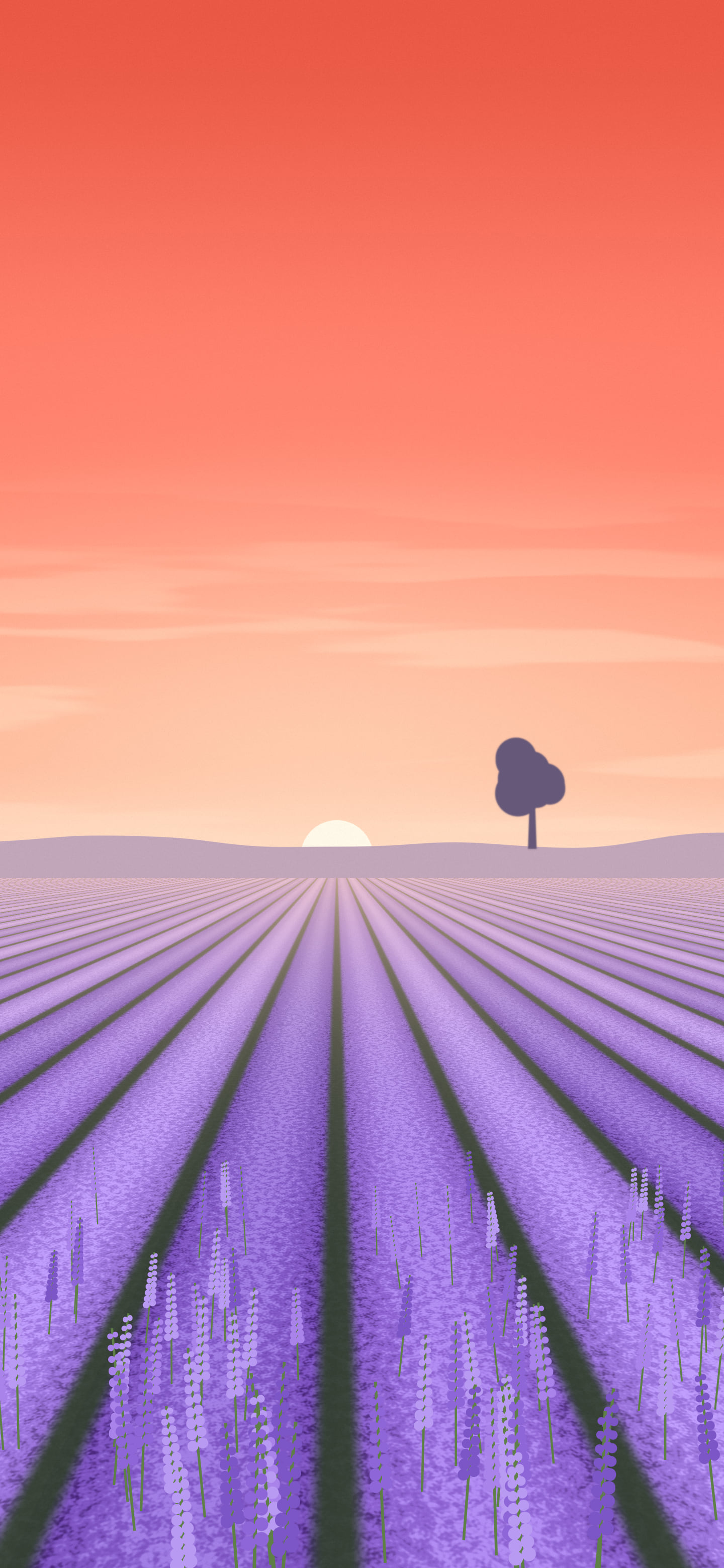 Coral Lavender Field wallpaper for iPhone and Android