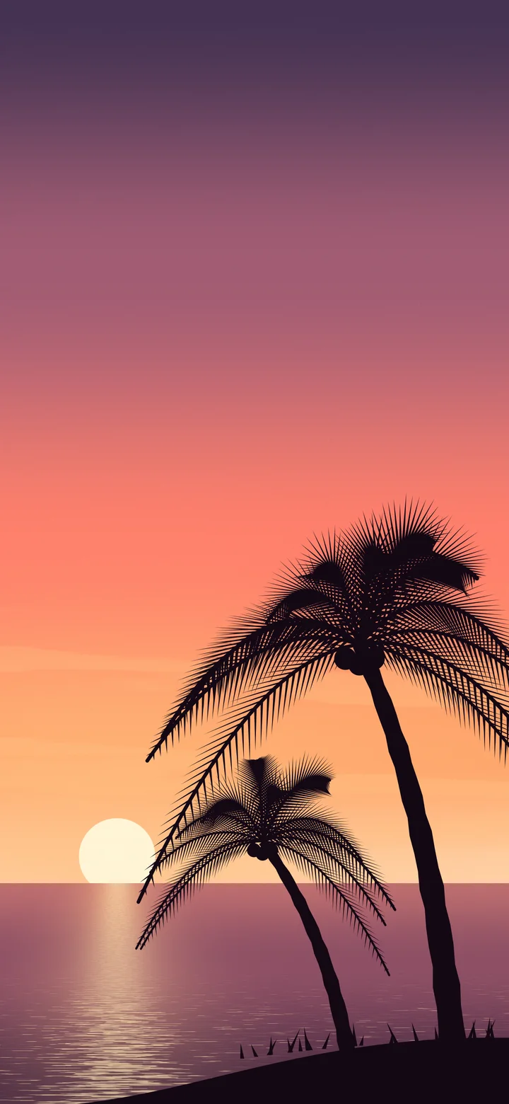 Coral Palm Tree Sunset wallpaper for iPhone and Android