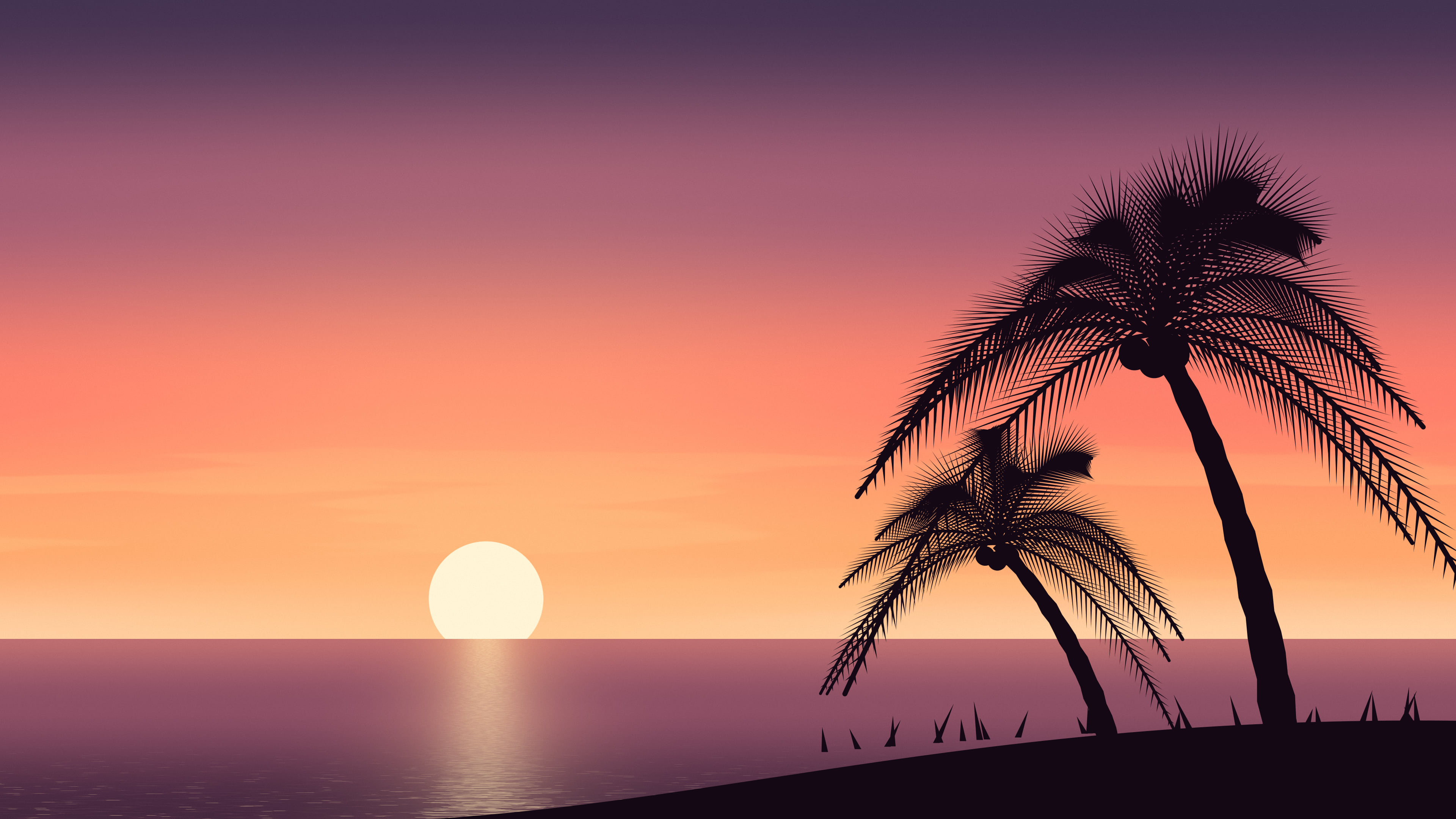 Coral Palm Tree Sunset desktop wallpaper in 4K