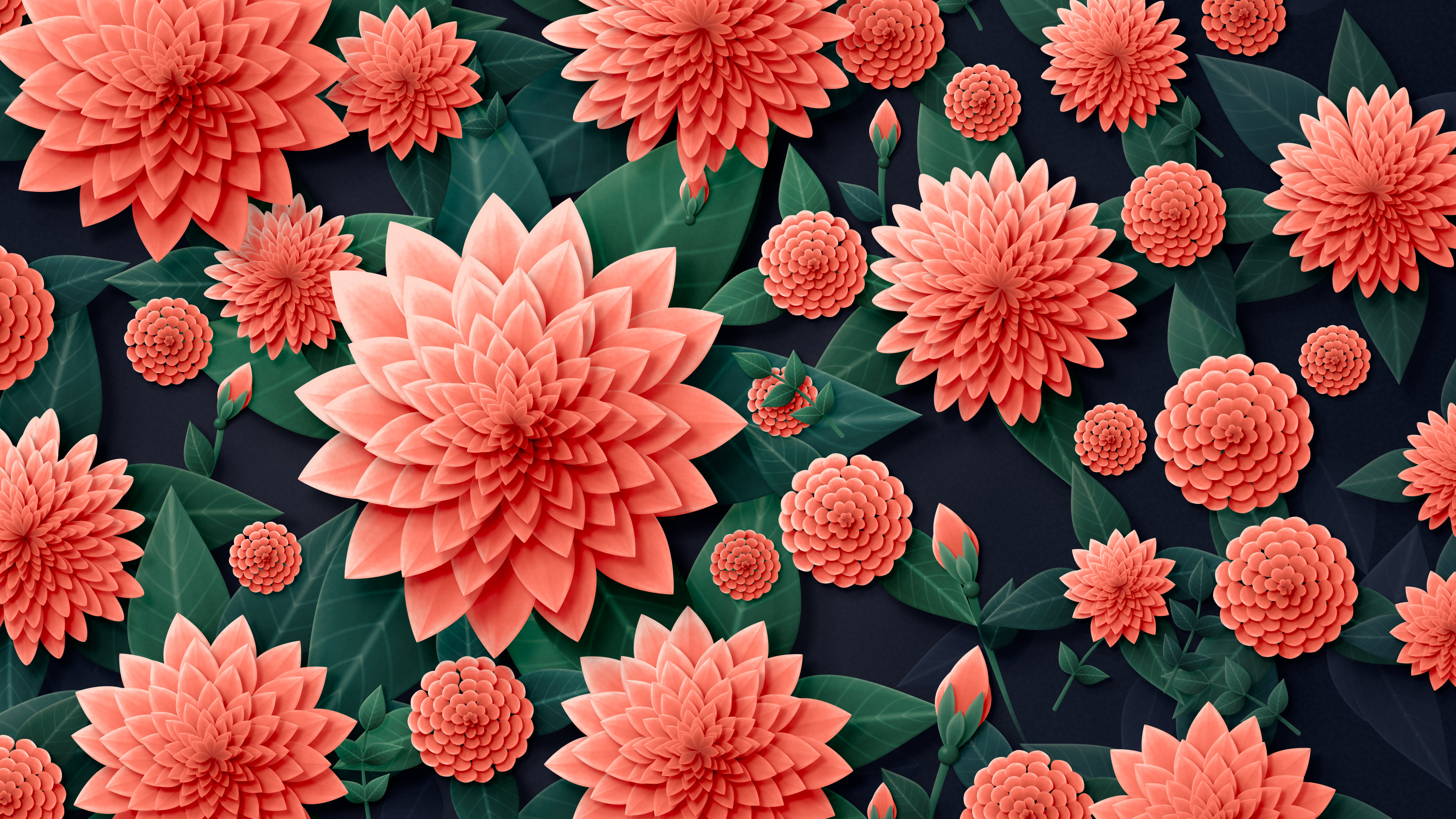 Coral Paper Dahlias desktop wallpaper in 4K