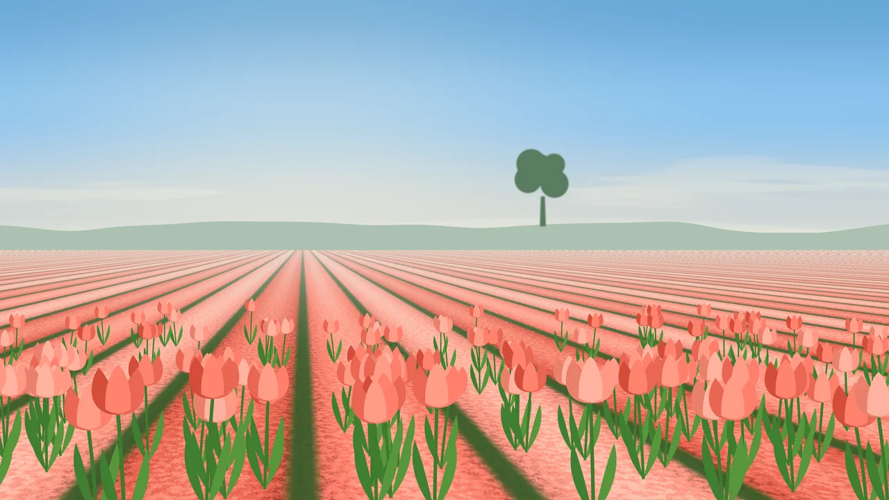 Coral Tulip Field desktop wallpaper in 4K